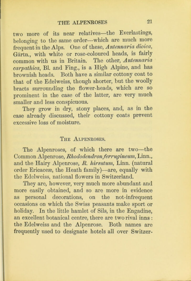 two more of its near relatives—the Everlastings, belonging to the same order—which are much more frequent in the Alps. One of these, Antennaria dioica, Giirtn., with white or rose-coloured heads, is fairly common with us in Britain. The other, Antennaria cai'pathica, Bl. and Fing., is a High Alpine, and has brownish heads. Both have a similar cottony coat to that of the Edelweiss, though shorter, but the woolly bracts surrounding the flower-lieads, which are so prominent in the case of the latter, are very much smaller and less conspicuous. They grow in dry, stony places, and, as in the case already discussed, their cottony coats prevent excessive loss of moisture. The Alpenroses. The Alpenroses, of which there are two—the Common Alpenrose, Rhododendronferrugineum, Linn., and the Hairy Alpenrose, R hirsatum, Linn, (natural order Ericacese, the Heath family)—are, equally with the Edelweiss, national flowers in Switzerland. They are, however, very much more abundant and more easily obtained, and so are more in evidence as personal decorations, on the not-infrequent occasions on which the Swiss peasants make sport or holiday. In the little hamlet of Sils, in the Engadine, an excellent botanical centre, there are two rival inns : the Edelweiss and the Alpenrose. Both names are frequently used to designate hotels all over Switzer-