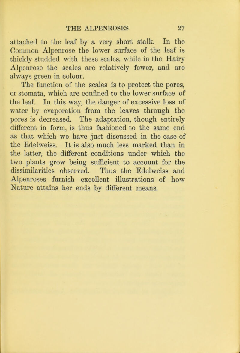 attached to the leaf by a very short stalk. In the Common Alpenrose the lower surface of the leaf is thickly studded with these scales, while in the Hairy Alpenrose the scales are relatively fewer, and are always green in colour. The function of the scales is to protect the pores, or stomata, which are confined to the lower surface of the leaf. In this way, the danger of excessive loss of water by evaporation from the leaves through the pores is decreased. The adaptation, though entirely different in form, is thus fashioned to the same end as that which we have just discussed in the case of the Edelweiss. It is also much less marked than in the latter, the different conditions under which the two plants grow being sufficient to account for the dissimilarities observed. Thus the Edelweiss and Alpenroses furnish excellent illustrations of how Nature attains her ends by different means.