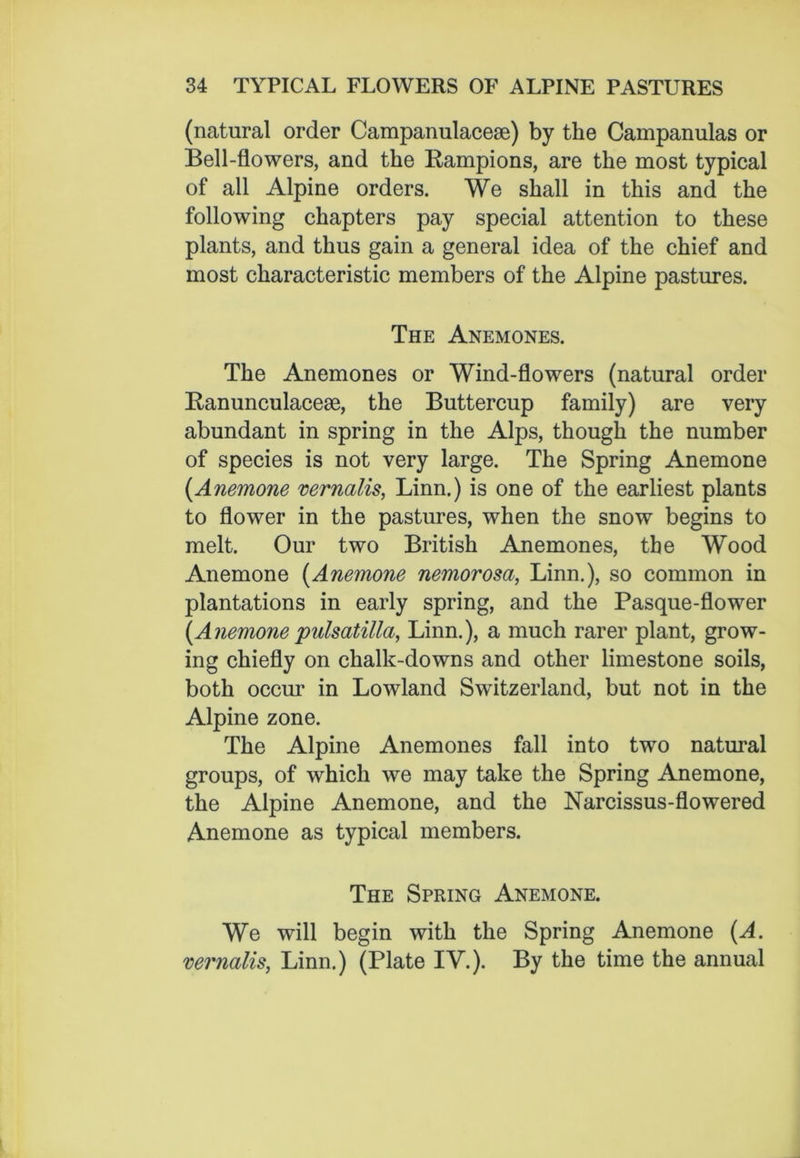 (natural order Campanulacese) by the Campanulas or Bell-flowers, and the Rampions, are the most typical of all Alpine orders. We shall in this and the following chapters pay special attention to these plants, and thus gain a general idea of the chief and most characteristic members of the Alpine pastures. The Anemones. The Anemones or Wind-flowers (natural order Ranunculacese, the Buttercup family) are very abundant in spring in the Alps, though the number of species is not very large. The Spring Anemone (.Anemone vernalis, Linn.) is one of the earliest plants to flower in the pastures, when the snow begins to melt. Our two British Anemones, the Wood Anemone (Anemone nemorosa, Linn.), so common in plantations in early spring, and the Pasque-flower (Anemone pulsatilla, Linn.), a much rarer plant, grow- ing chiefly on chalk-downs and other limestone soils, both occur in Lowland Switzerland, but not in the Alpine zone. The Alpine Anemones fall into two natural groups, of which we may take the Spring Anemone, the Alpine Anemone, and the Narcissus-flowered Anemone as typical members. The Spring Anemone. We will begin with the Spring Anemone (A. vernalis, Linn.) (Plate IV.). By the time the annual