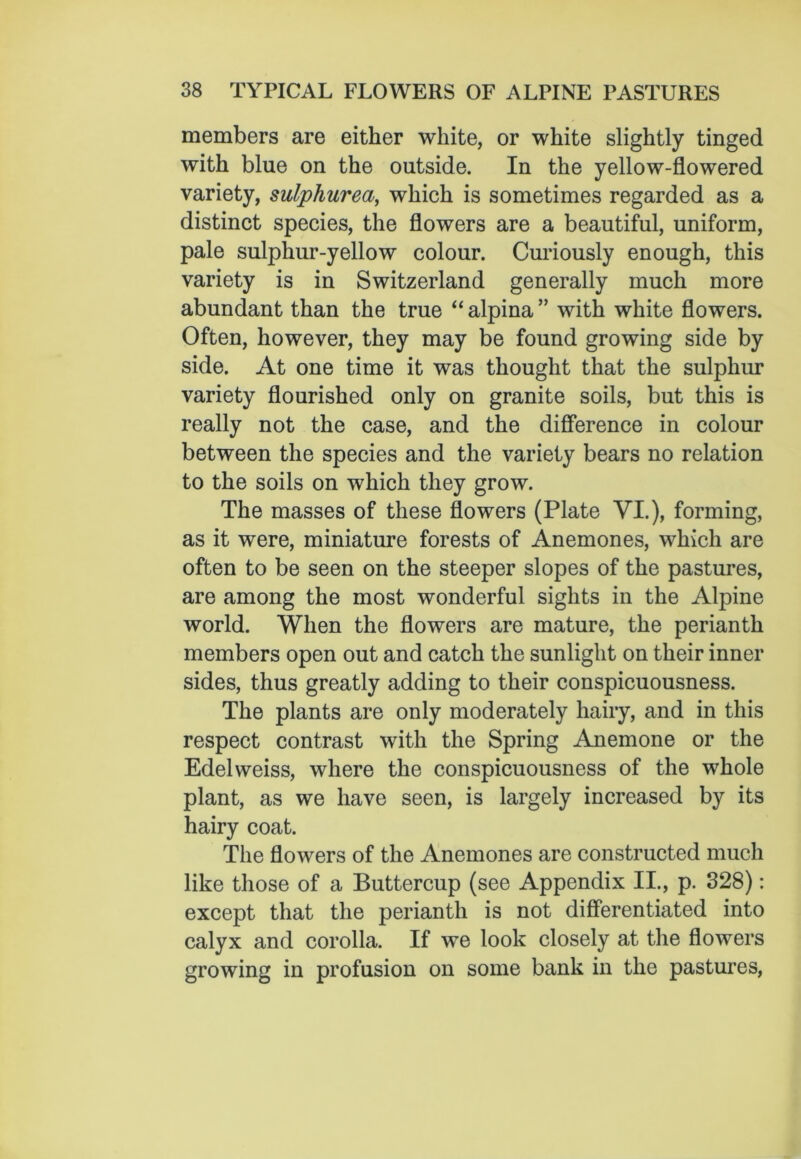 members are either white, or white slightly tinged with blue on the outside. In the yellow-flowered variety, sulphured, which is sometimes regarded as a distinct species, the flowers are a beautiful, uniform, pale sulphur-yellow colour. Curiously enough, this variety is in Switzerland generally much more abundant than the true “ alpina ” with white flowers. Often, however, they may be found growing side by side. At one time it was thought that the sulphur variety flourished only on granite soils, but this is really not the case, and the difference in colour between the species and the variety bears no relation to the soils on which they grow. The masses of these flowers (Plate VI.), forming, as it were, miniature forests of Anemones, which are often to be seen on the steeper slopes of the pastures, are among the most wonderful sights in the Alpine world. When the flowers are mature, the perianth members open out and catch the sunlight on their inner sides, thus greatly adding to their conspicuousness. The plants are only moderately hairy, and in this respect contrast with the Spring Anemone or the Edelweiss, where the conspicuousness of the whole plant, as we have seen, is largely increased by its hairy coat. The flowers of the Anemones are constructed much like those of a Buttercup (see Appendix II., p. 328): except that the perianth is not differentiated into calyx and corolla. If we look closely at the flowers growing in profusion on some bank in the pastures,
