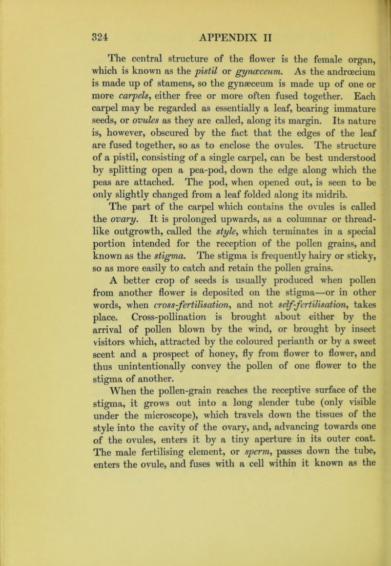 The central structure of the flower is the female organ, which is known as the pistil or gynccceum. As the andrcecium is made up of stamens, so the gynaeceum is made up of one or more carpels, either free or more often fused together. Each carpel may be regarded as essentially a leaf, bearing immature seeds, or ovules as they are called, along its margin. Its nature is, however, obscured by the fact that the edges of the leaf are fused together, so as to enclose the ovules. The structure of a pistil, consisting of a single carpel, can be best understood by splitting open a pea-pod, down the edge along which the peas are attached. The pod, when opened out, is seen to be only slightly changed from a leaf folded along its midrib. The part of the carpel which contains the ovules is called the ovary. It is prolonged upwards, as a columnar or thread- like outgrowth, called the style, which terminates in a special portion intended for the reception of the pollen grains, and known as the stigma. The stigma is frequently hairy or sticky, so as more easily to catch and retain the pollen grains. A better crop of seeds is usually produced when pollen from another flower is deposited on the stigma—or in other words, when cross-fertilisation, and not self-fertilisation, takes place. Cross-pollination is brought about either by the arrival of pollen blown by the wind, or brought by insect visitors which, attracted by the coloured perianth or by a sweet scent and a prospect of honey, fly from flower to flower, and thus unintentionally convey the pollen of one flower to the stigma of another. When the pollen-grain reaches the receptive surface of the stigma, it grows out into a long slender tube (only visible under the microscope), which travels down the tissues of the style into the cavity of the ovary, and, advancing towards one of the ovules, enters it by a tiny aperture in its outer coat. The male fertilising element, or sperm, passes down the tube, enters the ovule, and fuses with a cell within it known as the