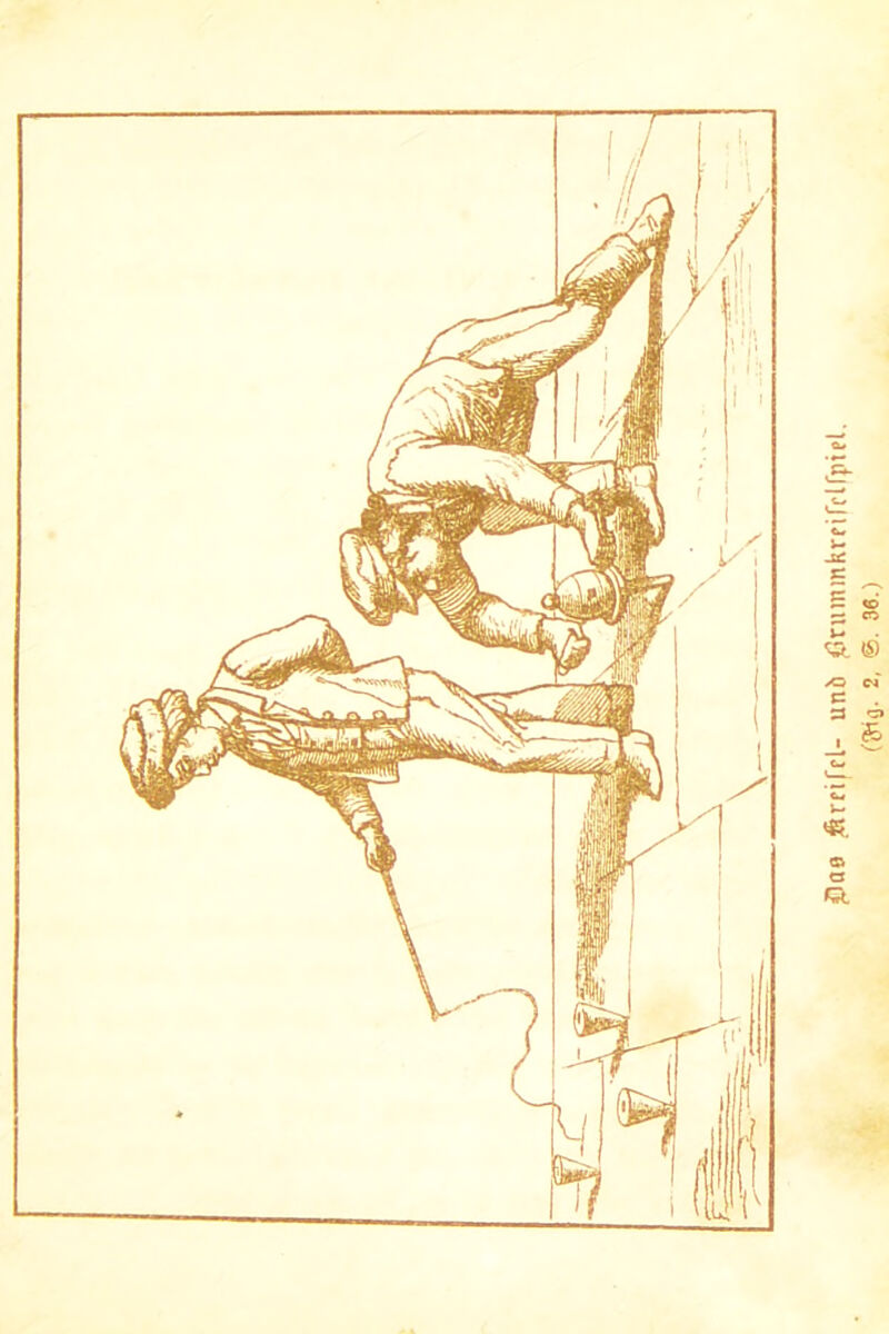 jOao Ärrifel- unb jßnimmkrrifclffiiel. 2, ©. 36.)
