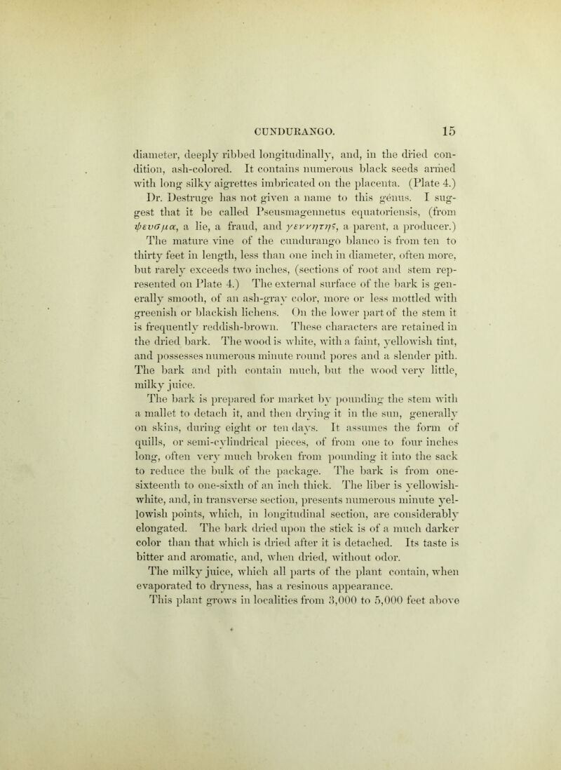 diameter, deeply ribbed longitudinally, and, in the dried con- dition, ash-colored. It contains numerous black seeds armed with long' silky aigrettes imbricated on the placenta. (Plate 4.) Dr. Destruge has not given a name to this genus. I sug- gest that it be called Pseusmagennetus equatoriensis, (from ipEvffjua, a lie, a fraud, and yEwr/r/y?, a parent, a producer.) The mature vine of the cundurango bianco is from ten to thirty feet in length, less than one inch in diameter, often more, but rarely exceeds two inches, (sections of root and stem rep- resented on Plate 4.) The external surface of the bark is gen- erally smooth, of an ash-gray color, more or less mottled with greenish or blackish lichens. On the lower part of the stem it is frequently reddish-brown. These characters are retained in the dried bark. The wood is white, with a faint, yellowish tint, and possesses numerous minute round pores and a slender pith. The bark and pith contain much, but the wood very little, milky juice. The bark is prepared for market by pounding the stem with a mallet to detach it, and then drying it in the sun, generally on skins, during eight or ten davs. It assumes the form of quills, or semi-cylindrical pieces, of from one to four inches long, often very much broken from pounding it into the sack to reduce the bulk of the package. The bark is from one- sixteenth to one-sixth of an inch thick. The liber is yellowisli- wliite, and, in transverse section, presents numerous minute yel- lowish points, which, in longitudinal section, are considerably elongated. The bark dried upon the stick is of a much darker color than that which is dried after it is detached. Its taste is bitter and aromatic, and, when dried, without odor. The milky juice, which all parts of the plant contain, when evaporated to dryness, has a resinous appearance. This plant grows in localities from 3,000 to 5,000 feet above