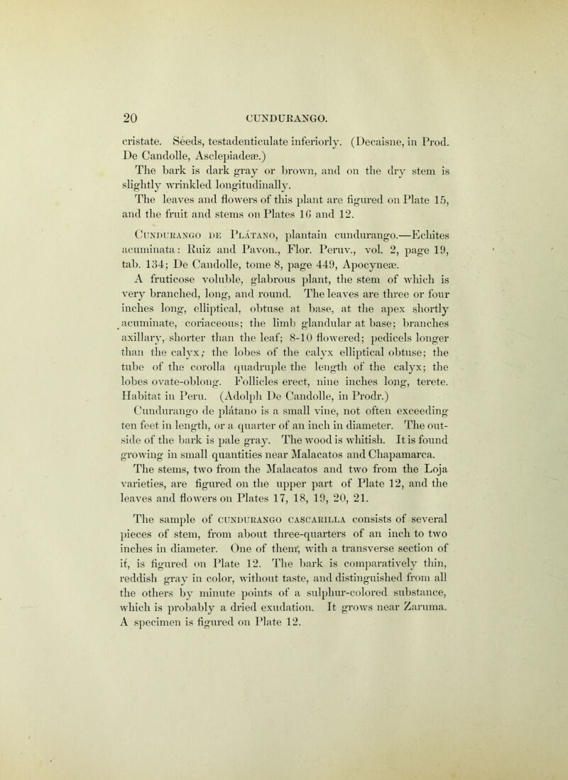 cristate. Seeds, testadenticulate inferiorly. (Decaisne, in Prod. De Candolle, Asclepiadeae.) The bark is dark gray or brown, and on the dry stem is slightly wrinkled longitudinally. The leaves and flowers of this plant are figured on Plate 15, and the fruit and stems on Plates 1G and 12. Cundurango de Platano, plantain cundurango.—Ecliites acuminata: Ruiz and Pavon., Flor. Peruv., vol. 2, page 19, tab. 134; De Candolle, tome 8, page 449, Apocynem. A fruticose voluble, glabrous plant, the stem of which is very branched, long, and round. The leaves are three or four inches long, elliptical, obtuse at base, at the apex shortly acuminate, coriaceous; the limb glandular at base; branches axillary, shorter than the leaf; 8-10 flowered; pedicels longer than the calyx; the lobes of the calyx elliptical obtuse; the tube of the corolla quadruple the length of the calyx; the lobes ovate-oblong. Follicles erect, nine inches long, terete. Habitat in Peru. (Adolph De Candolle, in Prodr.) Cundurango de platano is a small vine, not often exceeding ten feet in length, or a quarter of an inch in diameter. The out- side of the bark is pale gray. The wood is whitish. It is found growing in small quantities near Malacatos and Chapamarca. The stems, two from the Malacatos and two from the Loja varieties, are figured on the upper part of Plate 12, and the leaves and flowers on Plates 17, 18, 19, 20, 21. The sample of cundurango cascarilla consists of several pieces of stem, from about three-quarters of an inch to two inches in diameter. One of them', with a transverse section of it, is figured on Plate 12. The bark is comparatively thin, reddish gray in color, without taste, and distinguished from all the others by minute points of a sulplmr-colored substance, which is probably a dried exudation. It grows near Z arum a. A specimen is figured on Plate 12.