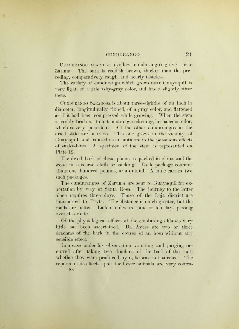 Cundurango amarillo (yellow cundurango) grows near Zaruma. The bark is reddish brown, thicker than the pre- ceding, comparatively rough, and nearly tasteless. The variety of cundurango which grows near Guayaquil is very light, of a pale ashy-gray color, and has a slightly bitter taste. Cundurango Saragosa is about three-eighths of an inch in diameter, longitudinally ribbed, of a gray color, and flattened as if it had been compressed while growing. When the stem is freshly broken, it emits a strong, sickening, herbaceous odor, which is very persistent. All the other cundurangos in the dried state are odorless. This one grows in the vicinity of Guayaquil, and is used as an antidote to the poisonous effects of snake-bites. A specimen of the stem is represented on Plate 12. The dried bark of these plants is packed in skins, and the wood in a coarse cloth or sacking. Each package contains about one hundred pounds, or a quintal. A mule carries two such packages. The cundurangos of Zaruma are sent to Guayaquil for ex- portation by way of Santa Rosa. The journey to the latter place requires three days. Those of the Loja district are transported to Payta. The distance is much greater, but the roads are better. Laden mules are nine or ten days passing over this route. Of the physiological effects of the cundurango bianco very little has been ascertained. Dr. Ayers ate two or three drachms of the bark in the course of an hour without any sensible effect. In a case under his observation vomiting and purging oc- curred after taking two drachms of the bark of the root; whether they were produced by it, he was not satisfied. The reports on its effects upon the lower animals are verv contra- G c