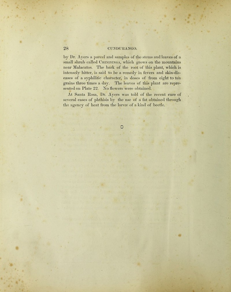 by Dr. Ayers a parcel and samples of the stems and leaves of a small shrub called Chinininga, which grows on the mountains near Malacatos. The bark of the root of this plant, which is intensely bitter, is said to be a remedy in fevers and skin-dis- eases of a syphilitic character, in doses of from eight to ten grains three times a day. The leaves of this plant are repre- sented on Plate 22. No flowers were obtained. At Santa Rosa, Dr. Ayers was told of the recent cure of several cases of phthisis by the use of a fat obtained through the agency of heat from the larvae of a kind of beetle. O