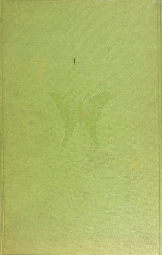 No text description is available for this image