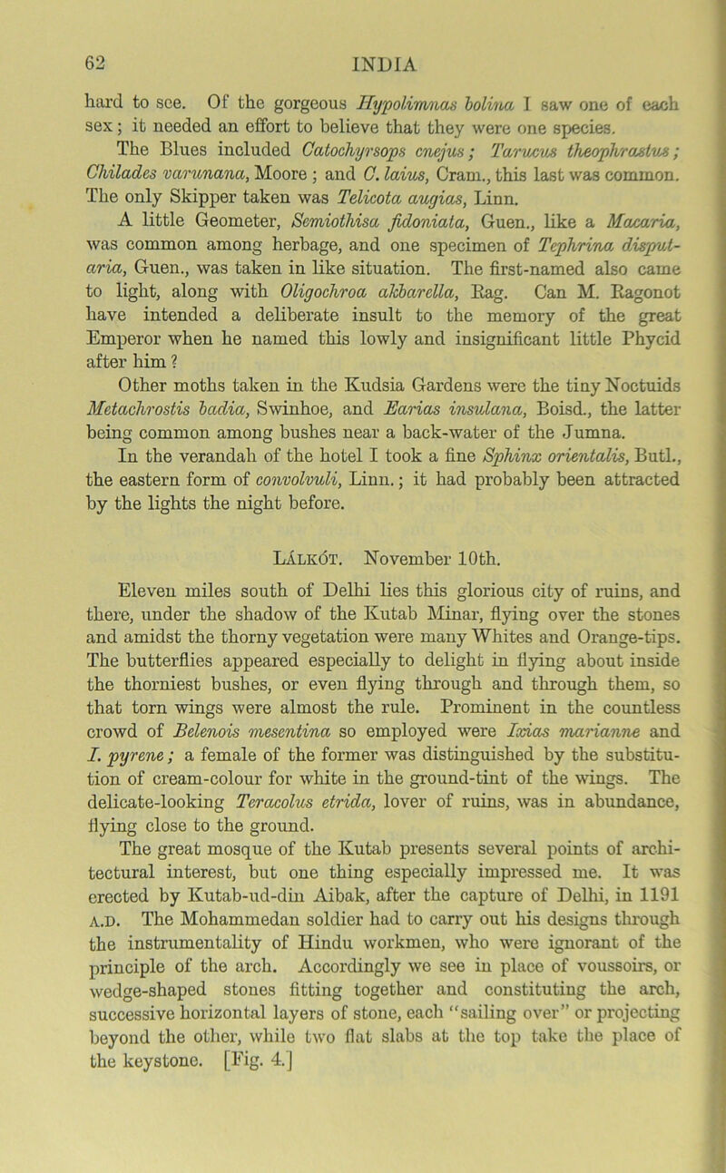 hard to see. Of the gorgeous Hypolimnas bolina I saw one of each sex; it needed an effort to believe that they were one species. The Blues included Catochyrsops cnejus; Taruxus theophrastvx; Chilades varunancc, Moore ; and C. laius, Cram., this last was common. The only Skipper taken was Telicota augias, Linn. A little Geometer, Semiothisa fidoniata, Guen., like a Moxarria, was common among herbage, and one specimen of Tephrina disput- aria, Guen., was taken in like situation. The first-named also came to light, along with Oligochroa aJcbarella, Eag. Can M. Eagonot have intended a deliberate insult to the memory of the great Emperor when he named this lowly and insignificant little Phycid after him ? Other moths taken in the Kudsia Gardens were the tiny Noctuids Metachrostis bcidia, Swinhoe, and Ectrias insulana, Boisd., the latter being common among bushes near a back-water of the Jumna. In the verandah of the hotel I took a fine Sphinx orientalis, Butl., the eastern form of convolvuli, Linn.; it had probably been attracted by the lights the night before. Lalk6t. November 10th. Eleven miles south of Delhi lies this glorious city of ruins, and there, under the shadow of the Kutab Minar, flying over the stones and amidst the thorny vegetation were many Whites and Orange-tips. The butterflies appeared especially to delight in flying about inside the thorniest bushes, or even flying through and through them, so that torn wings were almost the rule. Prominent in the countless crowd of Belenois mesentina so employed were Ixias marianne and I. pyrene; a female of the former was distinguished by the substitu- tion of cream-colour for white in the ground-tint of the wings. The delicate-looking Teracolus etrida, lover of ruins, was in abundance, flying close to the ground. The great mosque of the Kutab presents several points of archi- tectural interest, but one thing especially impressed me. It was erected by Kutab-ud-din Aibak, after the capture of Delhi, in 1191 a.d. The Mohammedan soldier had to carry out his designs through the instrumentality of Hindu workmen, who were ignorant of the principle of the arch. Accordingly we see in place of voussoirs, or wedge-shaped stones fitting together and constituting the arch, successive horizontal layers of stone, each “sailing over” or projecting beyond the other, while two flat slabs at the top take the place of the keystone. [Fig. 4.]