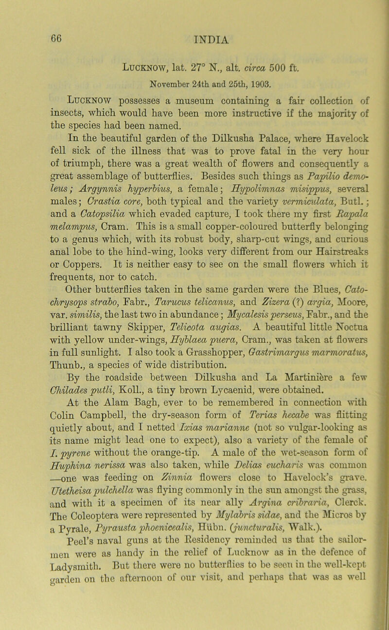 Lucknow, lat. 27° N., alt. circa 500 ft. November 24th and 25th, 1903. Lucknow possesses a museum containing a fair collection of insects, which would have been more instructive if the majority of the species had been named. In the beautiful garden of the Dilkusha Palace, where Havelock fell sick of the illness that was to prove fatal in the very hour of triumph, there was a great wealth of flowers and consequently a great assemblage of butterflies. Besides such things as Papilio demo- leus; Argynnis hyperbius, a female; Hypolimnas misippus, several males; Crastia core, both typical and the variety vermiculata, Butl.; and a Catopsilia which evaded capture, I took there my first B,apala melampus, Cram. This is a small copper-coloured butterfly belonging to a genus which, with its robust body, sharp-cut wings, and curious anal lobe to the hind-wing, looks very different from our Hairstreaks or Coppers. It is neither easy to see on the small flowers which it frequents, nor to catch. Other butterflies taken in the same garden were the Blues, Cato- chrysops strabo, Fabr., Tarucus telicanus, and Zizera (?) argia, Moore, var. similis, the last two in abundance; Mycalesis perseus, Fabr., and the brilliant tawny Skipper, Telicota augias. A beautiful little Noctua with yellow under-wings, Hyblaea puera, Cram., was taken at flowers in full sunlight. I also took a Grasshopper, Gastrimargus marmoratus, Thunb., a species of wide distribution. By the roadside between Dilkusha and La Martiniere a few Chilades putli, Koll., a tiny brown Lycaenid, were obtained. At the Alam Bagh, ever to be remembered in connection with Colin Campbell, the dry-season form of Terias hccabe was flitting quietly about, and I netted Ixias marianne (not so vulgar-looking as its name might lead one to expect), also a variety of the female of I. pyrene without the orange-tip. A male of the wet-season form of Huphina nerissa was also taken, while Delias eucharis was common —one was feeding on Zinnia flowers close to Havelock’s grave. Utetheisa pulchella was flying commonly in the sun amongst the grass, and with it a specimen of its near ally Argina cribraria, Clerck. The Coleoptera were represented by Myldbris sidae, and the Micros by a Pyrale, Pyrausta pliocniccalis, Hiibn. (juncturalis, Walk.). Peel’s naval guns at the Eesidency reminded us that the sailor- men were as handy in the relief of Lucknow as in the defence of Ladysmith. But there were no butterflies to be seen in the well-kept garden on the afternoon of our visit, and perhaps that was as well