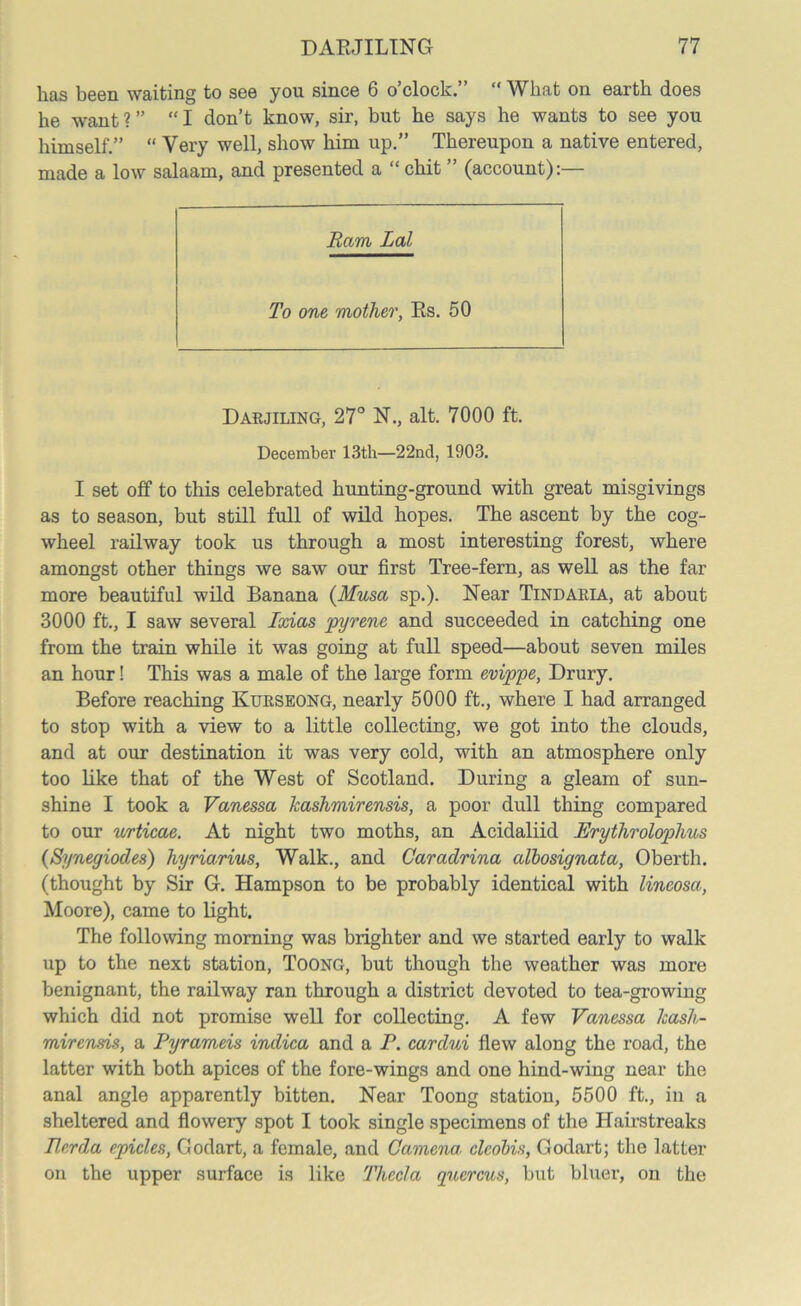 has been waiting to see you since 6 o’clock.” “ What on earth does he want?” “I don’t know, sir, but he says he wants to see you himself.” “ Very well, show him up.” Thereupon a native entered, made a low salaam, and presented a “ chit ” (account):— Ram Lai To one mother, Es. 50 Darjiling, 27° N., alt. 7000 ft. December 13th—22nd, 1903. I set off to this celebrated hunting-ground with great misgivings as to season, but still full of wild hopes. The ascent by the cog- wheel railway took us through a most interesting forest, where amongst other things we saw our first Tree-fern, as well as the far more beautiful wild Banana (Musa sp.). Near Tindaria, at about 3000 ft., I saw several Ixias pyrene and succeeded in catching one from the train while it was going at full speed—about seven miles an hour! This was a male of the large form evippe, Drury. Before reaching Kurseong, nearly 5000 ft., where I had arranged to stop with a view to a little collecting, we got into the clouds, and at our destination it was very cold, with an atmosphere only too like that of the West of Scotland. During a gleam of sun- shine I took a Vanessa kashmirensis, a poor dull thing compared to our urticae. At night two moths, an Acidaliid Erythroloplms (Synegiodes) hyriarius, Walk., and Caradrina albosignata, Oberth. (thought by Sir G. Hampson to be probably identical with lincosa, Moore), came to light. The following morning was brighter and we started early to walk up to the next station, Toong, but though the weather was more benignant, the railway ran through a district devoted to tea-growing which did not promise well for collecting. A few Vanessa kash- mirensis, a Pyrameis indica and a P. cardui flew along the road, the latter with both apices of the fore-wings and one hind-wing near the anal angle apparently bitten. Near Toong station, 5500 ft., in a sheltered and flowery spot I took single specimens of the Hairstreaks Per da epicles, Godart, a female, and Camena cleobis, Godart; the latter on the upper surface is like Thecla qiiercus, but bluer, on the