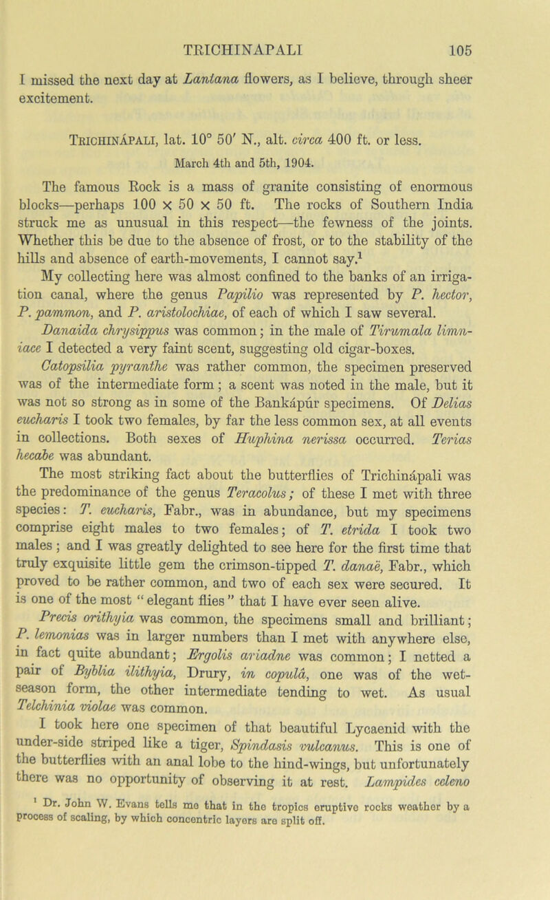 I missed the next day at Laniana flowers, as I believe, through sheer excitement. Trichinapali, lat. 10° 50' N., alt. circa 400 ft. or less. March 4th and 5th, 1904. The famous Rock is a mass of granite consisting of enormous blocks—perhaps 100 x 50 x 50 ft. The rocks of Southern India struck me as unusual in this respect—the fewness of the joints. Whether this be due to the absence of frost, or to the stability of the hills and absence of earth-movements, I cannot say.1 My collecting here was almost confined to the banks of an irriga- tion canal, where the genus Papilio was represented by P. hector, P. pammon, and P. aristolochiae, of each of which I saw several. Danaida chrysippus was common; in the male of Tirumala limn- iace I detected a very faint scent, suggesting old cigar-boxes. Catopsilia pyranthe was rather common, the specimen preserved was of the intermediate form; a scent was noted in the male, but it was not so strong as in some of the Bankapur specimens. Of Delias eucharis I took two females, by far the less common sex, at all events in collections. Both sexes of Huphina nerissa occurred. Terias hecabe was abundant. The most striking fact about the butterflies of Trichinapali was the predominance of the genus Teracolus; of these I met with three species: T. eucharis, Fabr., was in abundance, but my specimens comprise eight males to two females; of T. etrida I took two males ; and I was greatly delighted to see here for the first time that truly exquisite little gem the crimson-tipped T. danae, Fabr., which proved to be rather common, and two of each sex were secured. It is one of the most “ elegant flies ” that I have ever seen alive. Precis orithyia was common, the specimens small and brilliant; P. lemonias was in larger numbers than I met with anywhere else, in fact quite abundant; Ergolis ariadne was common; I netted a pair of Byblia ilithyia, Drury, in copula, one was of the wet- season form, the other intermediate tending to wet. As usual Telchinia violae was common. I took here one specimen of that beautiful Lycaenid with the under-side striped like a tiger, Spindasis vulcanus. This is one of the butterflies with an anal lobe to the hind-wings, but unfortunately there was no opportunity of observing it at rest. Lampides ccleno Dr. John W. Evans tolls me that in the tropics eruptive rocks weather by a process of scaling, by which concentric layers are split off.