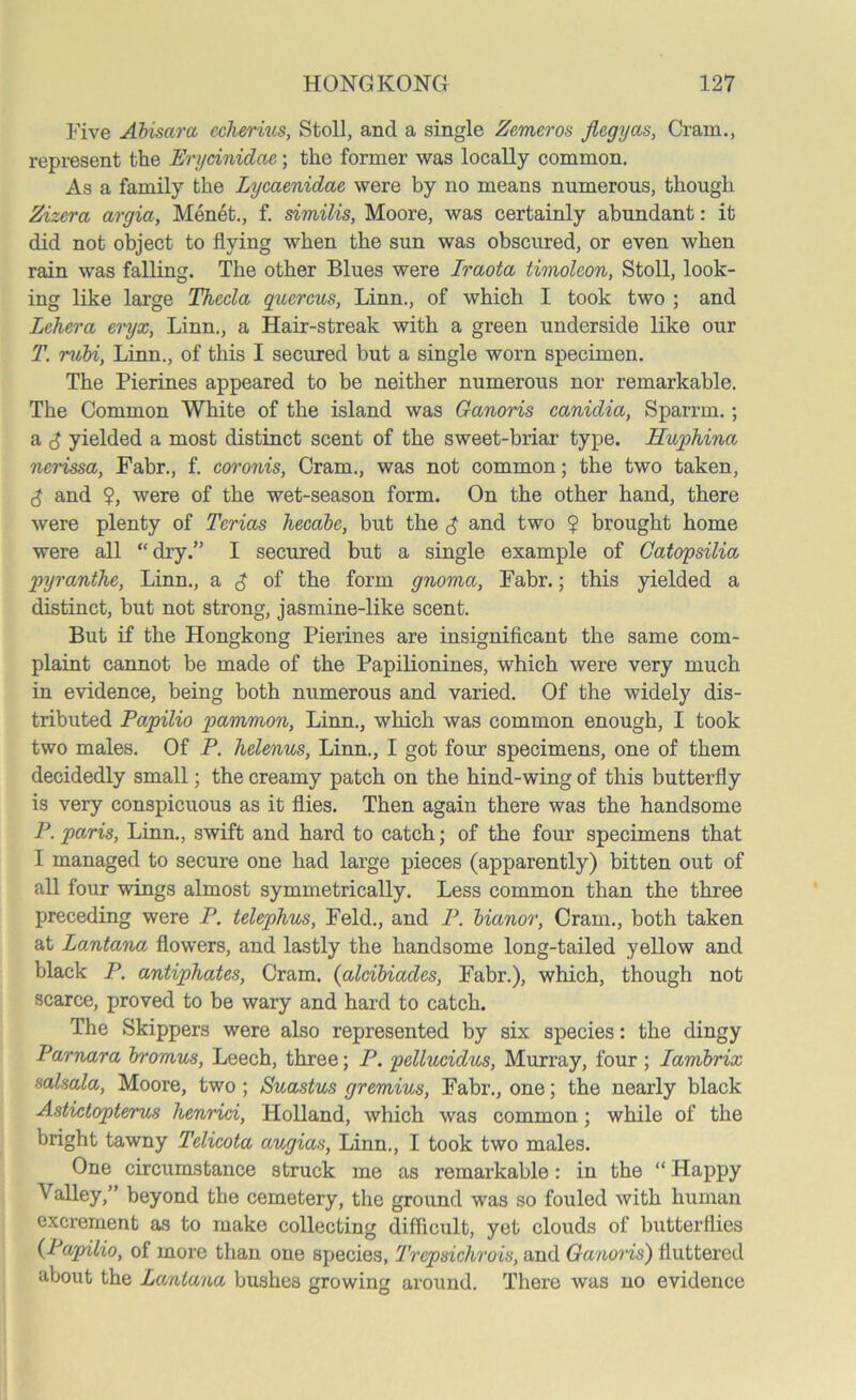 Five Abisara echerius, Stoll, and a single Zemeros Jlegyas, Cram., represent the Erydnidae; the former was locally common. As a family the Lycaenidae were by no means numerous, though Zizera argia, Menet., f. similis, Moore, was certainly abundant: it did not object to flying when the sun was obscured, or even when rain was falling. The other Blues were Iraota timolcon, Stoll, look- ing like large Thccla gucrcus, Linn., of which I took two ; and Lchera eryx, Linn., a Hair-streak with a green underside like our T. rubi, Linn., of this I secured but a single worn specimen. The Pierines appeared to be neither numerous nor remarkable. The Common White of the island was Ganoris canidia, Sparrm.; a d yielded a most distinct scent of the sweet-briar type. Huphina ncrissa, Fabr., f. coronis, Cram., was not common; the two taken, d and ?, were of the wet-season form. On the other hand, there were plenty of Terias hecabe, but the d and two ? brought home were all “ dry.” I secured but a single example of Catopsilia pyranthe, Linn., a d °f the form gnoma, Fabr.; this yielded a distinct, but not strong, jasmine-like scent. But if the Hongkong Pierines are insignificant the same com- plaint cannot be made of the Papilionines, which were very much in evidence, being both numerous and varied. Of the widely dis- tributed Papilio pammon, Linn., which was common enough, I took two males. Of P. helenus, Linn., I got four specimens, one of them decidedly small; the creamy patch on the hind-wing of this butterfly is very conspicuous as it flies. Then again there was the handsome P. paris, Linn., swift and hard to catch; of the four specimens that I managed to secure one had large pieces (apparently) bitten out of all four wings almost symmetrically. Less common than the three preceding were P. telephus, Feld., and P. bianor, Cram., both taken at Lantana flowers, and lastly the handsome long-tailed yellow and black P. antiphates, Cram. (aldbiades, Fabr.), which, though not scarce, proved to be wary and hard to catch. The Skippers were also represented by six species: the dingy Parnara bromus, Leech, three; P. pelluddus, Murray, four ; Iambrix salsala, Moore, two; Suastus gremius, Fabr., one; the nearly black Astictopterus henrici, Holland, which was common; while of the bright tawny Telicota augias, Linn., I took two males. One circumstance struck me as remarkable: in the “ Happy Valley,” beyond the cemetery, the ground was so fouled with human excrement as to make collecting difficult, yet clouds of butterflies {Papilio, of more than one species, Trepsichrois, and Ganoris) fluttered about the Lantana bushes growing around. There was no evidence