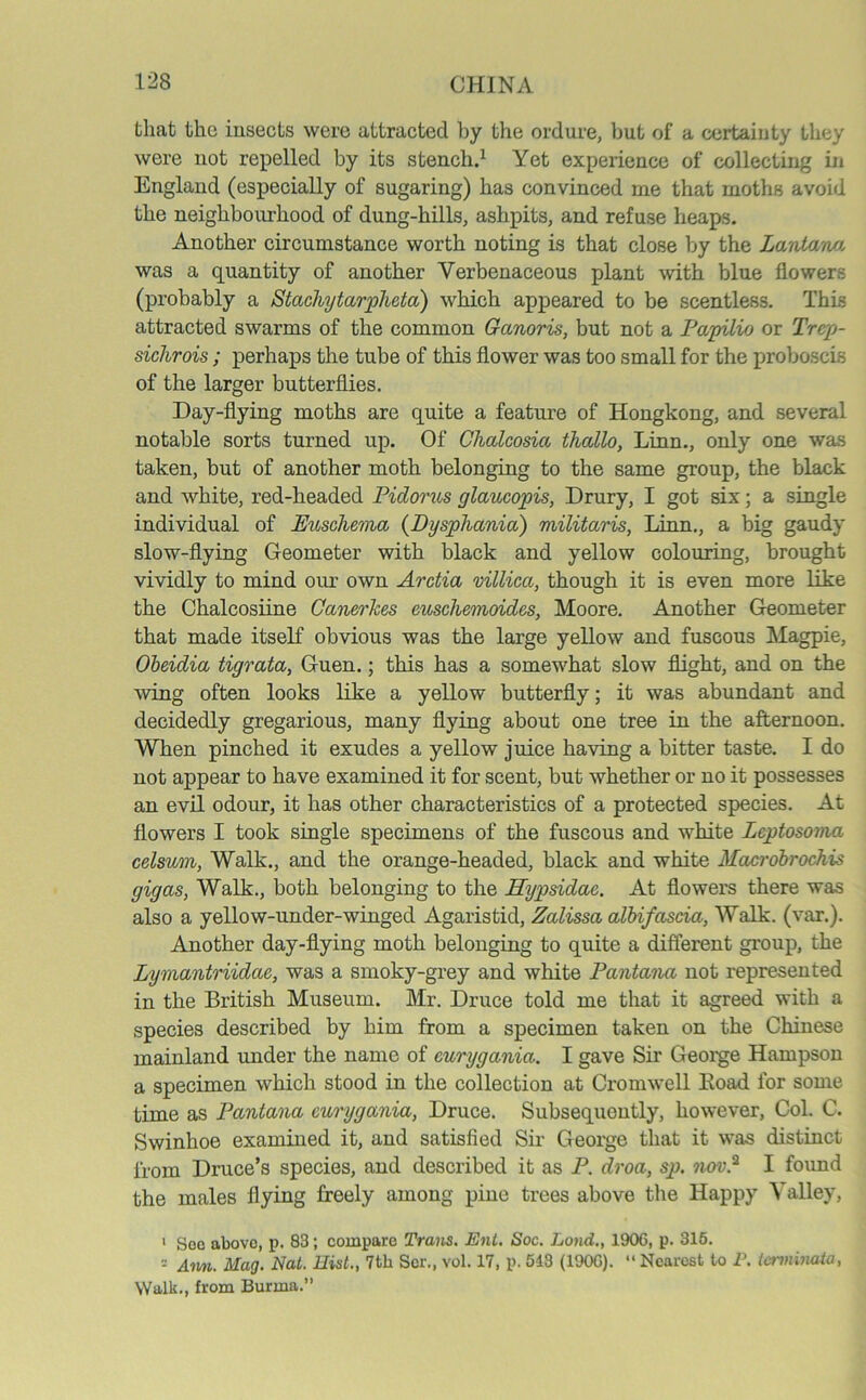 that the insects were attracted by the ordure, but of a certainty they were not repelled by its stench.1 Yet experience of collecting in England (especially of sugaring) has convinced me that moths avoid the neighbourhood of dung-hills, ashpits, and refuse heaps. Another circumstance worth noting is that close by the Lanlana was a quantity of another Verbenaceous plant with blue flowers (probably a Stachytarpheta) which appeared to be scentless. This attracted swarms of the common Ganoris, but not a PapUio or Trep- sichrois; perhaps the tube of this flower was too small for the proboscis of the larger butterflies. Day-flying moths are quite a feature of Hongkong, and several notable sorts turned up. Of Ghalcosia thallo, Linn., only one was taken, but of another moth belonging to the same group, the black and white, red-headed Pidorus glaucopis, Drury, I got six; a single individual of Puschema (Dysphania) militaris, Linn., a big gaudy slow-flying Geometer with black and yellow colouring, brought vividly to mind our own Arctia villica, though it is even more like the Chalcosiine Canerkes euschemoides, Moore. Another Geometer that made itself obvious was the large yellow and fuscous Magpie, Obeidia tigrata, Guen.; this has a somewhat slow flight, and on the wing often looks like a yellow butterfly; it was abundant and decidedly gregarious, many flying about one tree in the afternoon. When pinched it exudes a yellow juice having a bitter taste. I do not appear to have examined it for scent, but whether or no it possesses an evil odour, it has other characteristics of a protected species. At flowers I took single specimens of the fuscous and white Leptosoma celsum, Walk., and the orange-headed, black and white Macrobrochis gigas, Walk., both belonging to the Hypsidac. At flowers there was also a yellow-under-winged Agaristid, Zalissa albifascia, Walk. (var.). Another day-flying moth belonging to quite a different group, the Lymantriidae, was a smoky-grey and white Pantana not represented in the British Museum. Mr. Druce told me that it agreed with a species described by him from a specimen taken on the Chinese mainland under the name of curyganict. I gave Sir Geoige Hampson a specimen which stood in the collection at Cromwell Eoad for some time as Pantana curygania, Druce. Subsequently, however, Col. C. Swinhoe examined it, and satisfied Sir George that it was distinct from Druce’s species, and described it as P. droa, sp. nov.2 I found the males flying freely among pine trees above the Happy Valley, 1 Soe above, p. 83; compare Trans. Ent. Soc. Lond., 1906, p. 315. = Aim. Mag. Nat. Hist., 7th Ser., vol. 17, p. 543 (1906). “Nearest to P. lerminata, Walk., from Burma.”