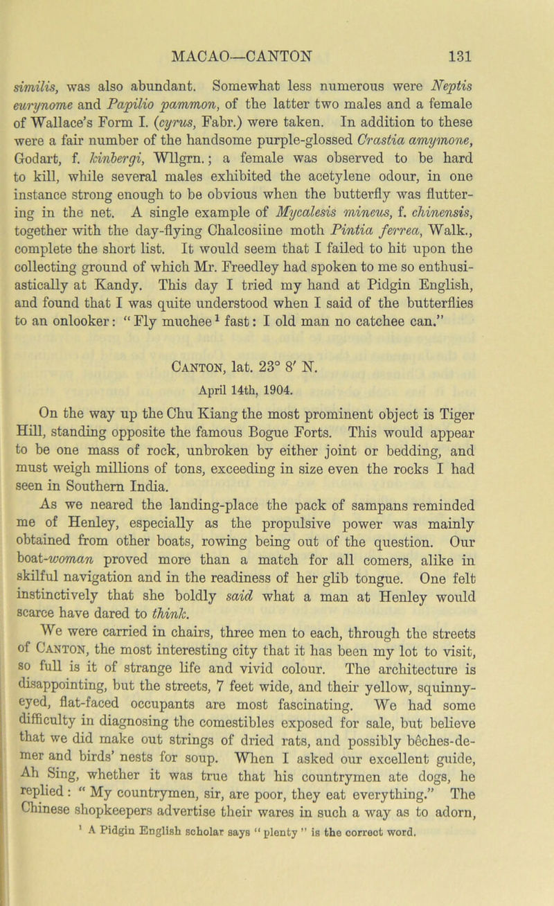 si?nilis, was also abundant. Somewhat less numerous were Neptis eurynome and Papilio pammon, of the latter two males and a female of Wallace’s Form I. (cyrus, Fabr.) were taken. In addition to these were a fair number of the handsome purple-glossed Crastia amymone, God art, f. kinbergi, Wllgrn.; a female was observed to be hard to kill, while several males exhibited the acetylene odour, in one instance strong enough to be obvious when the butterfly was flutter- ing in the net. A single example of Mycalesis mineus, f. chinensis, together with the day-flying Chalcosiine moth Pintia ferrea, Walk., complete the short list. It would seem that I failed to hit upon the collecting ground of which Mr. Freedley had spoken to me so enthusi- astically at Kandy. This day I tried my hand at Pidgin English, and found that I was quite understood when I said of the butterflies to an onlooker: “Fly muchee1 fast: I old man no catchee can.” Canton, lat. 23° 8' N. April 14th, 1904. On the way up the Chu Kiang the most prominent object is Tiger Hill, standing opposite the famous Bogue Forts. This would appear to be one mass of rock, unbroken by either joint or bedding, and must weigh millions of tons, exceeding in size even the rocks I had seen in Southern India. As we neared the landing-place the pack of sampans reminded me of Henley, especially as the propulsive power was mainly obtained from other boats, rowing being out of the question. Our boat-woman proved more than a match for all comers, alike in skilful navigation and in the readiness of her glib tongue. One felt instinctively that she boldly said what a man at Henley would scarce have dared to think. We were carried in chairs, three men to each, through the streets of Canton, the most interesting city that it has been my lot to visit, so full is it of strange life and vivid colour. The architecture is disappointing, but the streets, 7 feet wide, and their yellow, squinny- eyed, flat-faced occupants are most fascinating. We had some difficulty in diagnosing the comestibles exposed for sale, but believe that we did make out strings of dried rats, and possibly beches-de- xner and birds’ nests for soup. When I asked our excellent guide, Ah Sing, whether it was true that his countrymen ate dogs, he replied : “ My countrymen, sir, are poor, they eat everything.” The Chinese shopkeepers advertise their wares in such a way as to adorn, 1 A Pidgin English scholar says “ plenty ” is the oorrect word.