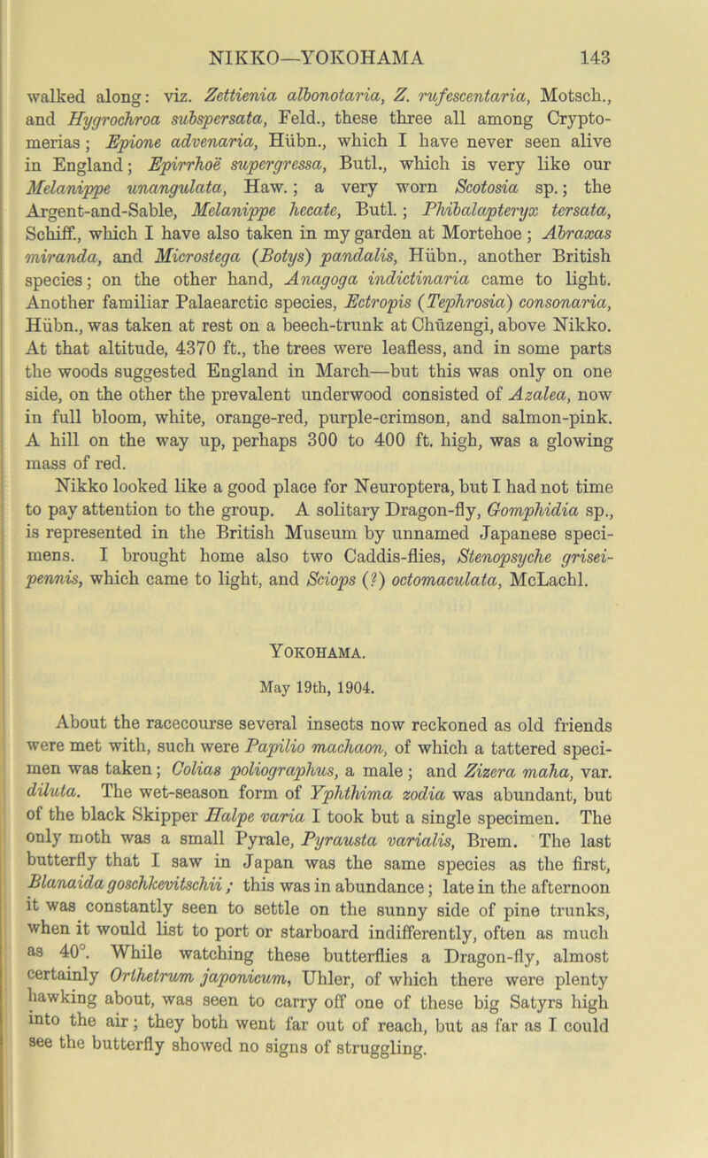 walked along: viz. Zettienia albonotaria, Z. rufcscentaria, Motsch., and Hygrochroa subspersata, Feld., these three all among Crypto- merias ; Epione advenaria, Hiibn., which I have never seen alive in England; Epirrhoe supergressa, Butl., which is very like our Melanippe unangulata, Haw.; a very worn Scotosia sp.; the Argent-and-Sable, Melanippe hecate, Butl.; Phibalapteryx tersata, Schiff., which I have also taken in my garden at Mortehoe ; Abraxas miranda, and Microstega (Botys) pandalis, Hiibn., another British species; on the other hand, Anagoga indictinaria came to light. Another familiar Palaearctic species, Ectropis (Tephrosia) consonaria, Hiibn., was taken at rest on a beech-trunk at Chuzengi, above Nikko. At that altitude, 4370 ft., the trees were leafless, and in some parts the woods suggested England in March—but this was only on one side, on the other the prevalent underwood consisted of Azalea, now in full bloom, white, orange-red, purple-crimson, and salmon-pink. A hill on the way up, perhaps 300 to 400 ft. high, was a glowing mass of red. Nikko looked like a good place for Neuroptera, hut I had not time to pay attention to the group. A solitary Dragon-fly, Gomphidia sp., is represented in the British Museum by unnamed Japanese speci- mens. I brought home also two Caddis-flies, Stenopsyche grisei- pennis, which came to light, and Sciops (?) octomaculata, McLachl. Yokohama. May 19th, 1904. About the racecourse several insects now reckoned as old friends were met with, such were Papilio maclmon, of which a tattered speci- men was taken; Colias poliographus, a male ; and Zizera maha, var. diluta. The wet-season form of Yphthima zodia was abundant, but of the black Skipper Halpe varia I took but a single specimen. The only moth was a small Pyrale, Pyrausta varialis, Brem. The last butterfly that I saw in Japan was the same species as the first, Blanaida goschkevitschii ; this was in abundance; late in the afternoon it was constantly seen to settle on the sunny side of pine trunks, when it would list to port or starboard indifferently, often as much as 40°. While watching these butterflies a Dragon-fly, almost certainly Orlhetrvm japonicum, Uhler, of which there were plenty hawking about, was seen to carry off one of these big Satyrs high into the air; they both went far out of reach, but as far as I could see the butterfly showed no signs of struggling.