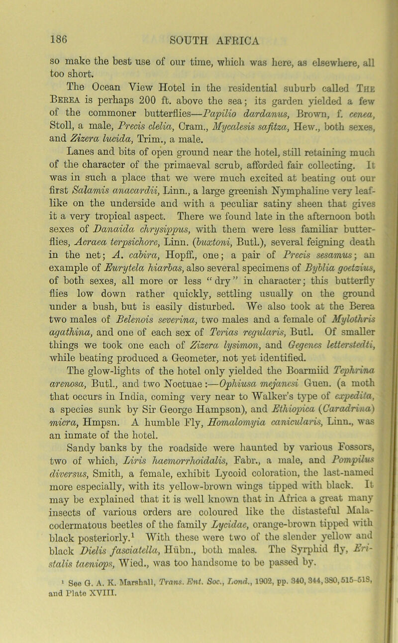 so make the best use of our time, which was here, as elsewhere, all too short. The Ocean View Hotel in the residential suburb called The Berea is perhaps 200 ft. above the sea; its garden yielded a few of the commoner butterflies—Papilio dardanus, Brown, f. cenea, Stoll, a male, Precis clelia, Cram., Myccdesis safitzci, Hew., both sexes, and Zizera lucida, Trim., a male. Lanes and bits of open ground near the hotel, still retaining much of the character of the primaeval scrub, afforded fair collecting. It was in such a place that we were much excited at beating out our first Scilamis anacardii, Linn., a large greenish Nymphaline very leaf- like on the underside and with a peculiar satiny sheen that gives it a very tropical aspect. There we found late in the afternoon both sexes of Danaida chrysippus, with them were less familiar butter- flies, Acraea terpsichorc, Linn. (buxtoni, Butl.), several feigning death in the net; A. cabira, Hopff., one; a pair of Precis sesamus; an example of Eurytela hiarbas, also several specimens of Byblia goetzius, of both sexes, all more or less “ dry ” in character; this butterfly flies low down rather quickly, settling usually on the ground under a bush, but is easily disturbed. We also took at the Berea two males of Belenois severina, two males and a female of Mylothris agathina, and one of each sex of Tcrias regularis, Butl. Of smaller things we took one each of Zizera lysimon, and Gcgencs lettei’stedti, while beating produced a Geometer, not yet identified. The glow-lights of the hotel only yielded the Boarmiid Tephrina arenosa, Butl., and two Noctuae:—Opliiusa mejancsi Guen. (a moth that occurs in India, coming very near to Walker’s type of expedita, a species sunk by Sir George Hampson), and Bthiopica (Caradrina) micra, Hmpsn. A humble Fly, Homalomyia eanicularis, Linn., was an inmate of the hotel. Sandy banks by the roadside were haunted by various Fossors, two of which, Liris haemorrhoidalis, Fabr., a male, and Pompilus diversus, Smith, a female, exhibit Lycoid coloration, the last-named more especially, with its yellow-brown wings tipped with black. It may be explained that it is well known that in Africa a great many insects of various orders are coloured like the distasteful Mala- codermatous beetles of the family Lycidae, orange-brown tipped with black posteriorly.1 With these were two of the slender yellow and black Dielis fasciatclla, Hiibn., both males. The Syrphid fly, Eri- stalis taeniops, Wied., was too handsome to be passed by. 1 See G. A. K. Marshall, Trans. Ent. Soc., Loyid., 1902, pp. 340,344,380,515-513, and Plate XVIII.