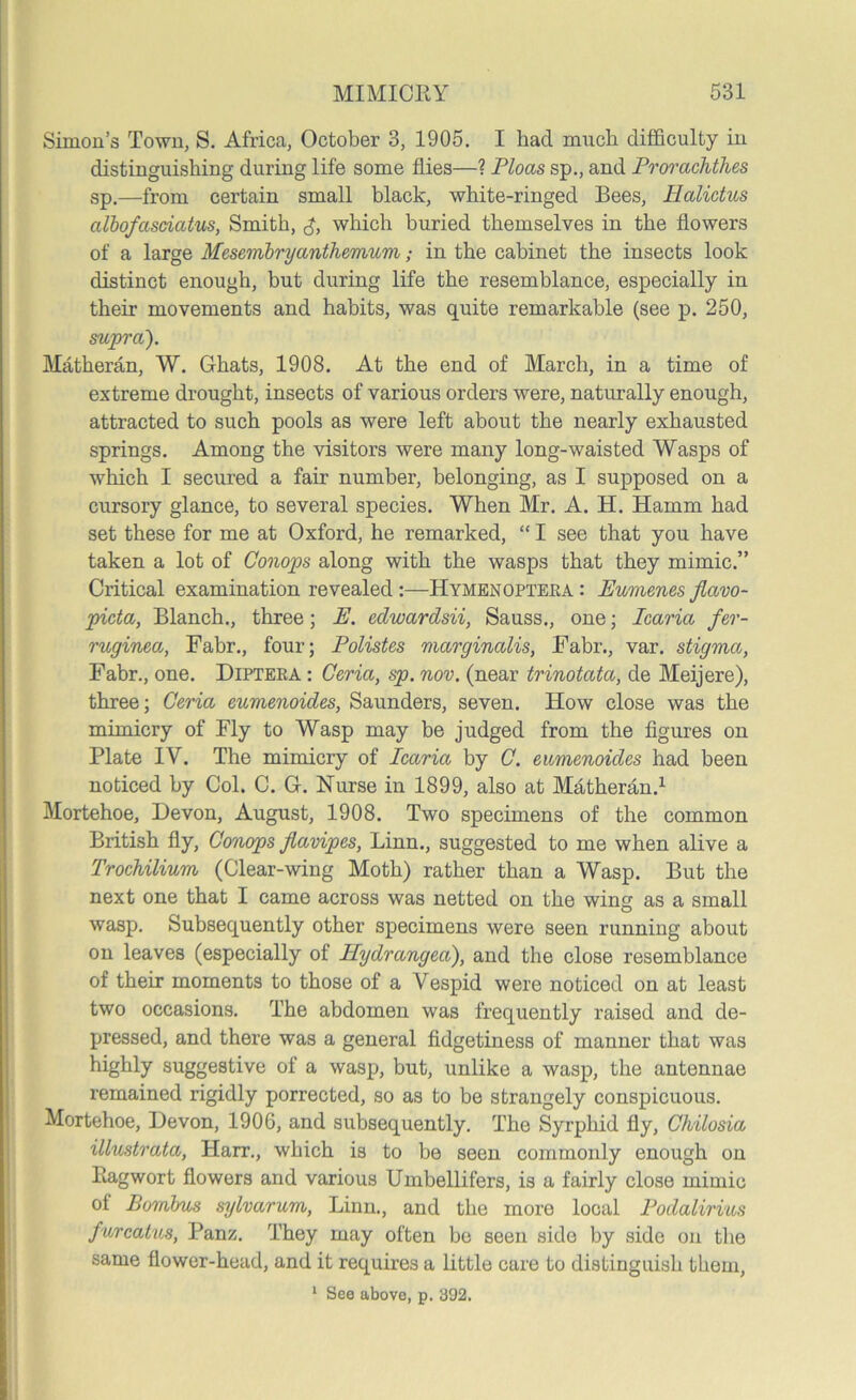 Simon’s Town, S. Africa, October 3, 1905. I had much difficulty in distinguishing during life some flies—? Ploas sp., and Prorachthes sp.—from certain small black, white-ringed Bees, Halictus albofcisciatus, Smith, which buried themselves in the flowers of a large Mesembryantliemum; in the cabinet the insects look distinct enough, but during life the resemblance, especially in their movements and habits, was quite remarkable (see p. 250, supra). Matheran, W. Ghats, 1908. At the end of March, in a time of extreme drought, insects of various orders were, naturally enough, attracted to such pools as were left about the nearly exhausted springs. Among the visitors were many long-waisted Wasps of which I secured a fair number, belonging, as I supposed on a cursory glance, to several species. When Mr. A. H. Hamm had set these for me at Oxford, he remarked, “ I see that you have taken a lot of Conops along with the wasps that they mimic.” Critical examination revealed :—Hymenoptera : Eumenes flavo- picta, Blanch., three; E. edwardsii, Sauss., one; Icaria fer- ruginea, Fabr., four; Polistes marginalis, Fabr., var. stigma, Fabr., one. Diptera : Ceria, sp. nov. (near trinotata, de Meijere), three; Ceria eumenoides, Saunders, seven. How close was the mimicry of Fly to Wasp may be judged from the figures on Plate IV. The mimicry of Icaria by C. eumenoides had been noticed by Col. C. G. Nurse in 1899, also at Matheran.1 Mortehoe, Devon, August, 1908. Two specimens of the common British fly, Conops flavipes, Linn., suggested to me when alive a Trochilium (Clear-wing Moth) rather than a Wasp. But the next one that I came across was netted on the wing as a small wasp. Subsequently other specimens were seen running about on leaves (especially of Hydrangea), and the close resemblance of their moments to those of a Vespid were noticed on at least two occasions. The abdomen was frequently raised and de- pressed, and there was a general fidgetiness of manner that was highly suggestive of a wasp, but, unlike a wasp, the antennae remained rigidly porrected, so as to be strangely conspicuous. Mortehoe, Devon, 1906, and subsequently. The Syrphid fly, Chilosia illustrata, Harr., which is to be seen commonly enough on Ragwort flowers and various Umbellifers, is a fairly close mimic of Bornbus sylvarum, Linn., and the more local Podalirius furcatus, Panz. They may often be seen side by side on the same flower-head, and it requires a little care to distinguish them, 1 See above, p. 392.