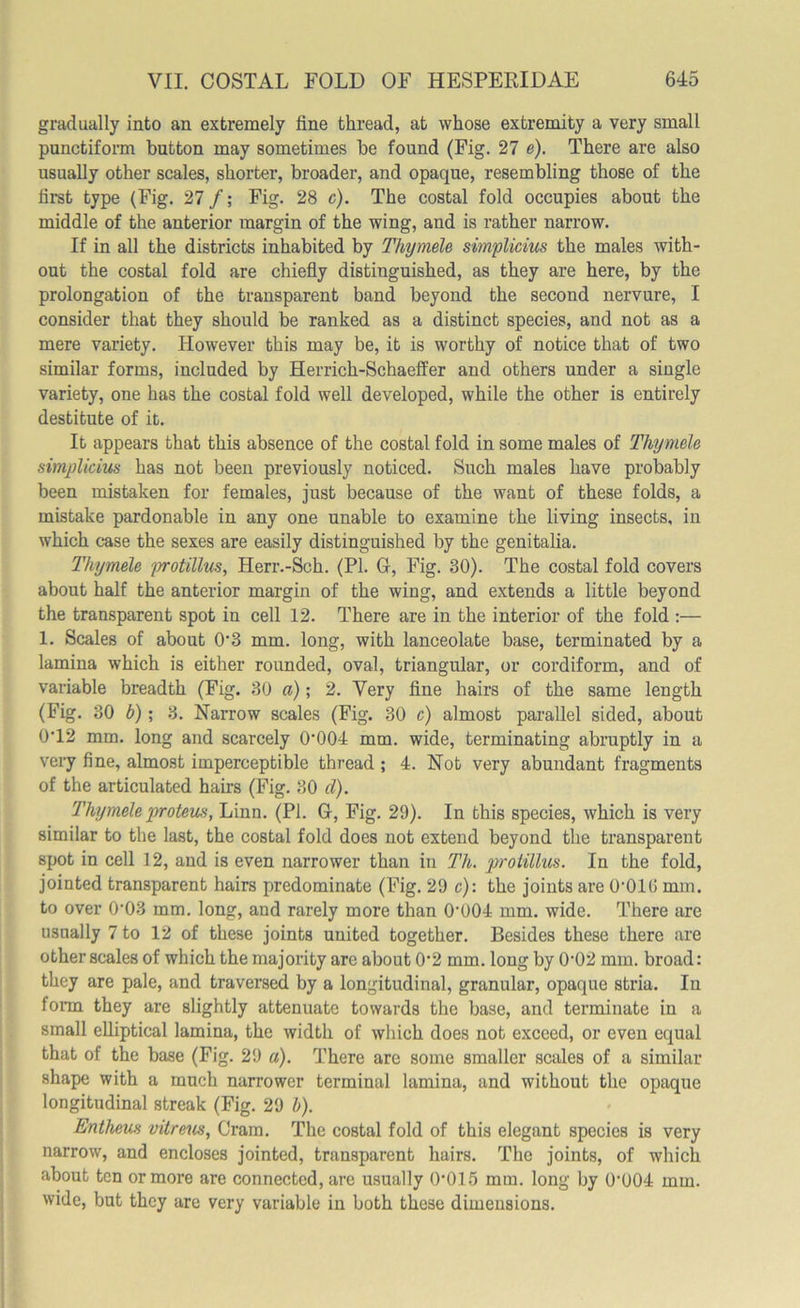 gradually into an extremely fine thread, at whose extremity a very small punctiform button may sometimes be found (Fig. 27 e). There are also usually other scales, shorter, broader, and opaque, resembling those of the first type (Fig. 27 f; Fig. 28 c). The costal fold occupies about the middle of the anterior margin of the wing, and is rather narrow. If in all the districts inhabited by Thymele simplicius the males with- out the costal fold are chiefly distinguished, as they are here, by the prolongation of the transparent band beyond the second nervure, I consider that they should be ranked as a distinct species, and not as a mere variety. However this may be, it is worthy of notice that of two similar forms, included by Herrich-Schaeffer and others under a single variety, one has the costal fold well developed, while the other is entirely destitute of it. It appears that this absence of the costal fold in some males of Thymele simplicius has not been previously noticed. Such males have probably been mistaken for females, just because of the want of these folds, a mistake pardonable in any one unable to examine the living insects, in which case the sexes are easily distinguished by the genitalia. Thymele protillus, Herr.-Sch. (PI. G, Fig. 30). The costal fold covers about half the anterior margin of the wing, and extends a little beyond the transparent spot in cell 12. There are in the interior of the fold :— 1. Scales of about 0’3 mm. long, with lanceolate base, terminated by a lamina which is either rounded, oval, triangular, or cordiform, and of variable breadth (Fig. 30 a); 2. Very fine hairs of the same length (Fig. 30 b); 3. Narrow scales (Fig. 30 c) almost parallel sided, about 042 mm. long and scarcely 0‘004 mm. wide, terminating abruptly in a very fine, almost imperceptible thread ; 4. Not very abundant fragments of the articulated hairs (Fig. 30 d). Thymele proteus, Linn. (PI. G, Fig. 29). In this species, which is very similar to the last, the costal fold does not extend beyond the transparent spot in cell 12, and is even narrower than in Th. protillus. In the fold, jointed transparent hairs predominate (Fig. 29 c): the joints are O’OIO mm. to over 0'03 mm. long, and rarely more than 0'004 mm. wide. There are usually 7 to 12 of these joints united together. Besides these there are other scales of which the majority are about 0’2 mm. long by 0’02 mm. broad: they are pale, and traversed by a longitudinal, granular, opaque stria. In form they are slightly attenuate towards the base, and terminate in a small elliptical lamina, the width of which does not exceed, or even equal that of the base (Fig. 29 a). There are some smaller scales of a similar shape with a much narrower terminal lamina, and without the opaque longitudinal streak (Fig. 29 b). Entheus vitrcus, Cram. The costal fold of this elegant species is very narrow, and encloses jointed, transparent hairs. The joints, of which about ten or more are connected, are usually 0'015 mm. long by 0‘U04 mm. wide, but they are very variable in both these dimensions.