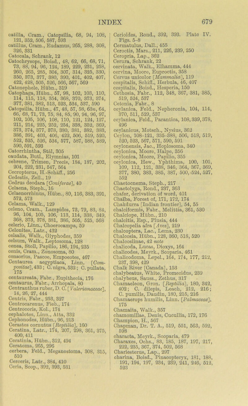 catilla, Cram., Catopsilia, 68, 94, 108, 121, 352, 506, 587, 593 catillus, Cram., Eudamus, 265, 288, 308, 326, 331 Catocala, Schrank, 12 Catochrysops, Boisd., 48, 62, 66, 68, 71, 73, 88, 94, 96, 124, 189, 229, 231, 258, 260, 265, 285, 304, 307, 314, 325, 330, 350, 373, 377, 380, 390, 401, 402, 407, 422, 428, 505, 526, 566, 567, 569 Catonephele, Hiibn., 319 Catophaga, Hiibn., 57, 98, 102, 103, 110, 114, 115, 118, 354, 368, 370, 373, 374, 377, 381, 382, 513, 523, 534, 537, 590 Catopsilia, Hiibn., 47, 48, 57, 58, 63n, 64, 66, 68, 71, 73, 75, 84, 85, 90, 94, 96, 97, 102, 105, 106, 108, 110, 121, 124, 127, 211, 214, 225, 252, 254, 338, 352, 369, 373, 374, 377, 378, 380, 381, 382, 383, 386, 391, 403, 406, 422, 506, 519, 520, 522, 525, 526, 534, 577, 587, 588, 589, 590, 591, 593 Catorrhintha, Stal, 305 caudata, Butl., Elymnias, 101 cebrene, Trimen, Precis, 184, 187, 202, 204, 222, 231, 547, 564 Cecropterus, H.-Schaff., 256 Cedestis, Zell., 19 Cedrus deodara [Goniferae], 40 Celaena, Steph., 16 Celaenorrhinus, Hiibn., 80, 116, 383, 391, 572, 573 Celama, Walk., 129 celeno, Cram., Lampides, 73, 79, 83, 84, 96, 104, 105, 106, 113, 114, 338, 349, 368, 373, 378, 381, 386, 505, 525, 568 celerio, Linn., Choerocampa, 59 Celonites, Latr., 432 celsalis, Walk., Glyphodes, 359 celsum, Walk., Leptosoma, 128 cenea, Stoll, Papilio, 186, 194, 235 cenis, Cram., Zonosoma, 80 censorius, Pascoe, Empoeotes, 467 Centaurea aegyptiaca, Linn. [Com- positae], 433; C. nigra, 532; C. pullata, 175 centaureata, Fabr., Eupithecia, 176 centaurus, Fabr., Arrhopala, 80 Centranthus ruber, D. C. [ Valerianaceae], 14, 26, 27, 444 Centris, Fabr., 253, 327 Centrocarenus, Fieb., 174 Centrocoris, Kol., 174 cephalotes, Linn., Atta, 332 Cephonodes, Hiibn., 96, 2L3 Cerastes comutus [Reptilia], 160 Ceratina, Latr., 174, 207, 298, 361, 375, 400, 411 Ceratinia, Hiibn., 312, 494 Ceratoma, 265, 296 cerbera, Feld., Meganostoma, 308, 315, 510 Cercoris, Latr., 384, 410 Ceria, Scop., 392, 393, 531 Cerioides, Rond., 392, 393. Plate IV. Figs. 5-8 Cermatulus, Dali., 455 Ceroctis, Mars., 211, 226, 239, 250 Ceropria, Lap., 362 Cerura, Schrank, 22 cervinata, Walk., Elhamma, 444 cervina, Moore, Euproctis, 358 Cervus unicolor [Mammalia], 119 cespitalis, Schiff., Herbula, 46, 407 cespitalis, Boisd., Hesperia, 150 Cetbosia, Fabr., 112, 348, 367, 381, 385, 519, 524, 537 Cetonia, Fabr., 8 ceylanica, Feld., Nepheronia, 104, 114, 370, 511, 529, 537 ceylanica, Feld., Parantica, 10S, 339,378, 496 ceylanicus, Motsch., Nysius, 362 Ceylon, 108-121, 335-388, 506, 518, 519, 520, 523, 567, 571, 590, 591 ceylonensis, Jac., Hoplosoma, 340 ceylonica, Moore, Halpe, 356 ceylonica, Moore, Papilio, 355 ceylonica, Hew., Yphthima, 100, 101, 109, 112, 121, 338, 346, 364, 367, 369, 377, 380, 383, 385, 387, 500, (524, 527, 552 Ckaetocnema, Steph., 217 Chaetolyga, Rond., 237, 363 chafer, derivation of word, 401 Ckaiba, Forest of, 171, 172, 174 Chakdurra [Indian frontier], 54, 55 chalciformis, Fabr., Melittia, 361, 530 Chalciope, Hiibn., 210 chalcitis, Esp., Plusia, 444 Chalcopelia afra [Awes], 219 chalcoptera, Lac., Lema, 230 Chalcosia, Hiibn., 128, 360, 518, 520 Ckalcosiinae, 42 note chalicoda, Lucas, Dioxys, 164 chalicodes, Meyrk., Scoparia, 461 Chalicodoma, Lepel., 164, 174, 177, 212, 237, 398, 429 Chalk River [Canada], 153 chalybeatus, White, Promecidus, 239 chalybeus, Sauss., Zethus, 317 Chamaeleon, Gron. [Reptilia], 180, 342, 402; C. dilepis, Leach, 212, 216; C. pumilis, Daudin, 180, 215, 216 Chamaerops humilis, Linn. [Palmaceae], 175 Chamaita, Walk., 357 chamomillae, Denis, Cucullia, 172,176 Champion, H., 567 Chapman, Dr. T. A., 519, 651, 563, 592, 598 characta, Meyrk., Scoparia, 479 Charaxes, Ochs., 83, 185, 187, 197, 217, 222, 235, 307, 374, 502, 568 Chariesterus, Lap., 297 charina, Boisd., Pinacopteryx, 181, 188, 191, 194, 197, 234, 239, 241, 246, 512, 523