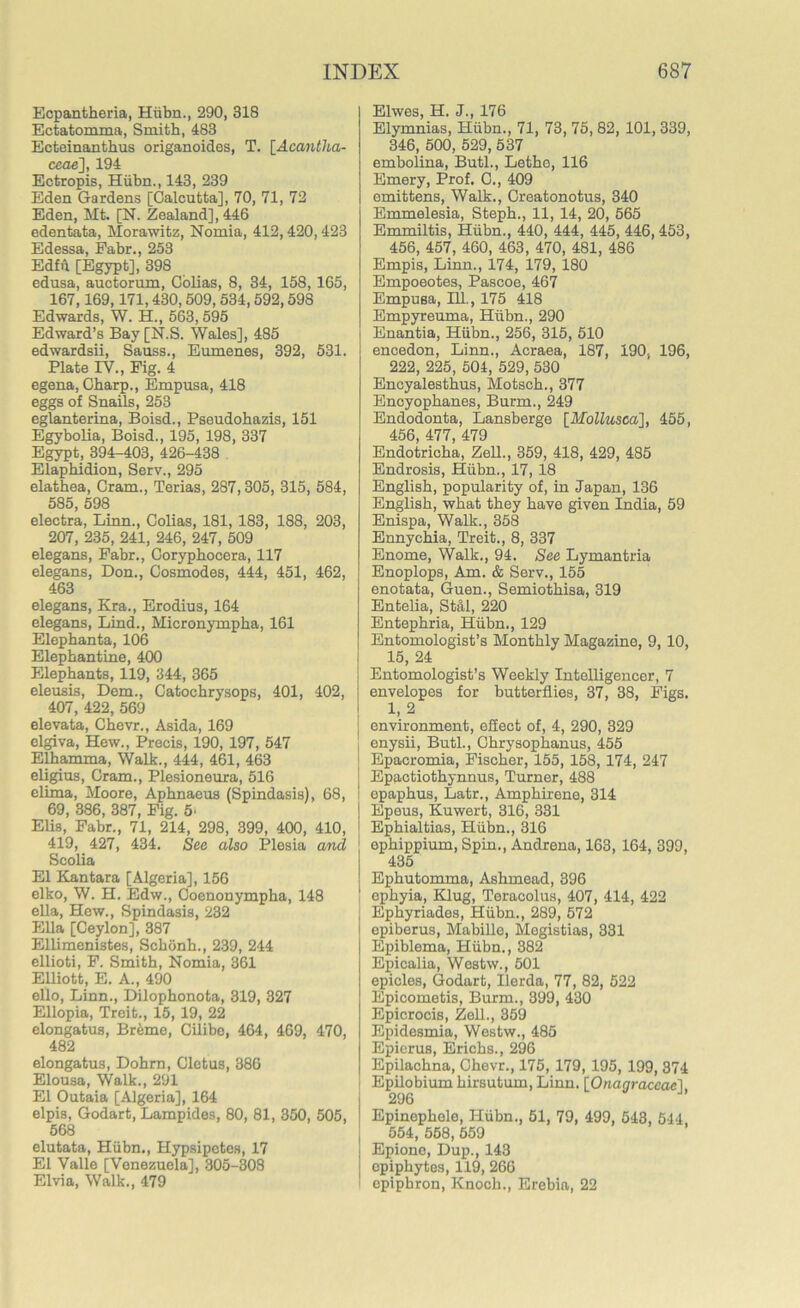 Ecpantheria, Hiibn., 290, 318 Ectatomma, Smith, 483 Ecteinanthus origanoides, T. [Acantha- ceae], 194 Ectropis, Hiibn., 143, 239 Eden Gardens [Calcutta], 70, 71, 72 Eden, Mt. [N. Zealand], 446 edentata, Morawitz, Nomia, 412,420,423 Edessa, Fabr., 253 Edfu [Egypt], 398 edusa, auctorum, Colias, 8, 34, 158, 165, 167,169,171,430,509, 534,592,598 Edwards, W. H., 563,595 Edward’s Bay [N.S. Wales], 485 edwardsii, Sauss., Eumenes, 392, 531. Plate IV., Pig. 4 egena, Charp., Empusa, 418 eggs of Snails, 253 eglanterina, Boisd., Pseudohazis, 151 Egybolia, Boisd., 195, 198, 337 Egypt, 394-403, 426-438 Elaphidion, Serv., 295 elathea, Cram., Terias, 287,305, 315, 584, 585, 598 electra, Linn., Colias, 181, 183, 188, 203, 207, 235, 241, 246, 247, 509 elegans, Pabr., Coryphocera, 117 elegans, Don., Cosmodes, 444, 451, 462, 463 elegans, Era., Erodius, 164 elegans, Lind., Micronympka, 161 Elephanta, 106 Elephantine, 400 Elephants, 119, 344, 365 eleusis, Dem., Catochrysops, 401, 402, 407, 422, 569 elevata, Chevr., Asida, 169 elgiva, Hew., Precis, 190, 197, 547 Elhamma, Walk., 444, 461, 463 eligius, Cram., Plesioneura, 516 elima, Moore, Aphnaeus (Spindasis), 68, 69, 386, 387, Pig. 5- Elis, Pabr., 71, 214, 298, 399, 400, 410, 419, 427, 434. See also Plesia and Scolia El Kantara [Algeria], 156 elko, W. H. Edw., Coenonympha, 148 ella, Hew., Spindasis, 232 Ella [Ceylon], 387 Ellimenistes, Schonh., 239, 244 ellioti, P. Smith, Nomia, 361 Elliott, E. A., 490 ello, Linn., Dilophonota, 319, 327 Ellopia, Treit., 15, 19, 22 elongatus, Brbme, Cilibe, 464, 469, 470, 482 elongatus, Dohrn, Cletus, 386 Elousa, Walk., 291 El Outaia [Algeria], 164 elpis, Godart, Lampides, 80, 81, 350, 505, 568 elutata, Hiibn., Hypsipetes, 17 El Valle [Venezuela], 305-308 Elvia, Walk., 479 Elwes, H. J., 176 Elymnias, Hiibn., 71, 73, 75, 82, 101, 339, 346, 500, 529, 537 embolina, Butl., Lethe, 116 Emery, Prof. G., 409 emittens, Walk., Creatonotus, 340 Emmelesia, Steph., 11, 14, 20, 565 Emmiltis, Hiibn., 440, 444, 445, 446, 453, 456, 457, 460, 463, 470, 481, 486 Empis, Linn., 174, 179, 180 Empoeotes, Pascoe, 467 Empusa, 111., 175 418 Empyreuma, Hiibn., 290 Enantia, Hiibn., 256, 315, 510 encedon, Linn., Acraea, 187, 190, 196, 222, 225, 504, 529, 530 Encyalesthus, Motsch., 377 Encyophanes, Burm., 249 Endodonta, Lansberge [Mollusca], 455, 456, 477, 479 Endotricha, Zell., 359, 418, 429, 485 Endrosis, Hiibn., 17, 18 English, popularity of, in Japan, 136 English, what they have given India, 59 Enispa, Walk., 358 Ennychia, Treit., 8, 337 Enome, Walk., 94. See Lymantria Enoplops, Am. & Serv., 155 enotata, Guen., Semiotkisa, 319 Entelia, Stal, 220 Entephria, Hiibn., 129 Entomologist’s Monthly Magazine, 9, 10, 15, 24 Entomologist’s Weekly Intelligencer, 7 envelopes for butterflies, 37, 38, Figs. 1,2 environment, effect of, 4, 290, 329 enysii, Butl., Okrysoplianus, 455 Epacromia, Fischer, 155, 158, 174, 247 Epactiothynnus, Turner, 488 epaphus, Latr., Amphirene, 314 Epeus, Kuwert, 316, 331 Ephialtias, Hiibn., 316 ephippium, Spin., Andrena, 163, 164, 399, 435 Ephutomma, Ashmead, 396 ephyia, Klug, Teracolus, 407, 414, 422 Ephyriades, Hiibn., 289, 572 epiberus, Mabille, Megistias, 331 Epiblema, Hiibn., 382 Epicalia, Westw., 501 epicles, Godart, Ilerda, 77, 82, 522 Epicometis, Burm., 399, 430 Epicrocis, Zell., 359 Epidesmia, Westw., 485 Epierus, Erichs., 296 Epilachna, Chevr., 175, 179, 195, 199, 374 Epilobium hirsutum, Linn. [Onagraccae~\ 296 Epinephele, Hiibn., 51, 79, 499, 543, 544 554, 558, 559 Epione, Dup., 143 epiphytes, 119, 266 epipbron, Enoch., Erebia, 22