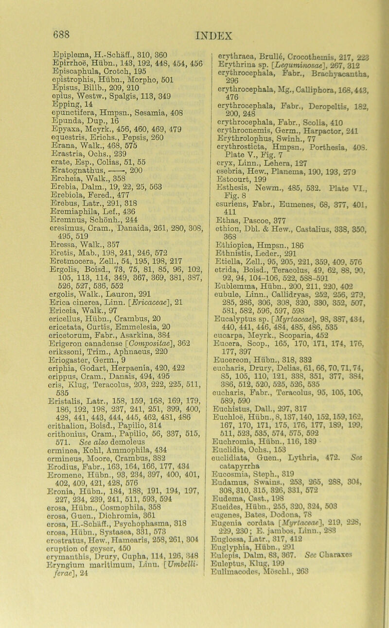 Epiplema, H.-Sckaff., 310, 360 Epirrkoe, Hiibn., 143, 192, 448, 454, 456 Episcapkula, Crotck, 195 epistropkis, Hiibn., Morpko, 501 Episus, Billb., 209, 210 epius, Westw., Spalgis, 113, 349 Epping, 14 epunctifera, Hmpsn., Sesamia, 408 Epunda, Dup., 16 Epyaxa, Meyrk., 456, 460, 469, 479 equestris, Ericks., Pepsis, 260 Erana, Walk., 468, 575 Erastria, Ocks., 239 erate, Esp., Oolias, 51, 55 Eratognatkus, -, 200 Erckeia, Walk., 358 Erebia, Dalm., 19, 22, 25, 563 Erebiola, Pered., 477 Erebus, Latr., 291, 318 Eremiapkila, Lef., 436 Eremnus, Sckonk., 244 eresimus, Gram., Danaida, 261, 280, 308, 495, 519 Eressa, Walk., 357 Eretis, Mab., 198, 241, 246, 572 Eretmocera, Zell., 54, 195, 198, 217 Ergolis, Boisd., 73, 75, 81, 85, 96, 102, 105, 113, 114, 349, 367, 369, 381, 387, 526, 527, 536, 552 ergolis, Walk., Lauron, 291 Erica cinerea, Linn. [Ericaceae], 21 Ericeia, Walk., 97 ericellus, Hiibn., Crambus, 20 ericetata, Curtis, Emmelesia, 20 ericetorum, Eabr., Asarkina, 384 Erigeron canadense [Compositae], 362 erikssoni, Trim., Apknaeus, 220 Eriogaster, Germ., 9 eripkia, Godart, Herpaenia, 420, 422 erippus, Cram., Danais, 494, 495 cris, Klug, Teracolus, 203, 222, 225, 511, 535 Eristalis, Latr., 158, 159, 168, 169, 179, 186, 192, 198, 237, 241, 251, 399, 400, 428, 441, 443, 444, 445, 462, 4S1, 486 oritkalion, Boisd., Papilio, 314 eritkouius, Oram., Papilio, 56, 337, 515, 571. See also demoleus erminea, Kokl, Ammopkila, 434 ermineus, Moore, Crambus, 382 Erodius, Fabr., 163, 164, 166, 177, 434 Eromene, Hiibn., 93, 234, 397, 400, 401, 402, 409, 421, 428, 576 Eronia, Hiibn., 184, 188, 191, 194, 197, 227, 234, 239, 241, 511, 593, 594 erosa, Hiibn., Cosmopkila, 358 erosa, Guen., Dickromia, 361 erosa, H.-Sckiiff., Psyckopliasma, 318 orosa, Hiibn., Systasea, 331, 573 crostratus, Hew., Hamoaris, 258, 261, 304 eruption of goysor, 450 erymanthis, Drury, Cupka, 114, 126, 348 Eryngium maritimum, Liuu. [Umbclli- ferac], 24 erytkraea, Brull6, Crocothemis, 217, 223 Erytkrina sp. [Legumimsae], 267, 312 erytkrocepkala, Fabr., Brachyacantha, 296 erytkrocepkala, Mg., Calliphora, 168,443, 476 erytkrocepkala, Fabr., Deropeltis, 182, 200, 248 erytkrocepkala, Fabr., Scolia, 410 erytkrocnemis, Germ., Harpactor, 241 Erytkrolopkus, Swink., 77 erytkrosticta, Hmpsn., Portkesia, 403. Plate V., Fig. 7 eryx, Linn., Lekera, 127 esebria, Hew., Planema, 190, 193, 279 Estcourt, 199 Estkesis, Newm., 485, 532. Plate VI., Fig. 8 esuriens, Fabr., Eumenes, 68, 377, 401, 411 Etkas, Pascoe, 377 etkion, Dbl. & Hew., Castalius, 338, 350, 368 Etkiopica, Hmpsn., 186 Ethnistis, Leder., 291 Etiella, Zell., 95, 205, 221, 359, 409, 576 etrida, Boisd., Teracolus, 49, 62, 88, 90, 92, 94, 104-106, 522, 538-591 Eublemma, Hiibn., 200, 211, 220, 402 eubule, Linn., Gallidryas, 252, 256, 279, 285, 286, 306, 308, 320, 330, 352, 507, 581, 582, 596, 597, 598 Eucalyptus sp. [Myrtaccae], 98, 3S7, 434, 440, 441, 446, 484, 485, 486, 535 eucarpa, Meyrk., Scoparia, 452 Eucera, Scop., 165, 170, 171, 174, 176, 177, 397 Eucereon, Hiibn., 318, 332 euckaris, Drury, Delias, 61, 66, 70. 71.74, S5, 105, 110, 121, 33S, 351, 377, 3S4, 386, 512, 520, 525, 526, 535 euckaris, Fabr., Teracolus, 95, 105,106, 589, 590 Euckistus, Dali., 297, 317 Euckloe, Hiibn., 8,137,140, 152,159,162, 167, 170, 171, 175, 176, 177, 189, 199, 511, 523, 535, 574, 575. 592 Euchromia, Hiibn., 116, 189 Euclidia, Ocks., 153 euclidiata, Guen., Lytkria, 472. See catapyrrka Eucosmia, Stopk., 319 Eudamus, Swains., 253, 265, 288, 304, 308, 310, 315, 326, 331, 572 Eudema, Cast., 198 Eueides, Hiibn., 255, 320, 324, 503 eugenes, Bates, Dodona, 78 Eugenia cordata [Myrtacme], 219, 228, 229, 230; E. jambos, Linn., 283 Euglossa, Latr., 317, 412 Euglyphia, Hiibn., 291 Eulepis, Dalm, 83, 367. See Ckaraxes Euleptus, Klug, 199 Eulimacodos, Moschl., 263