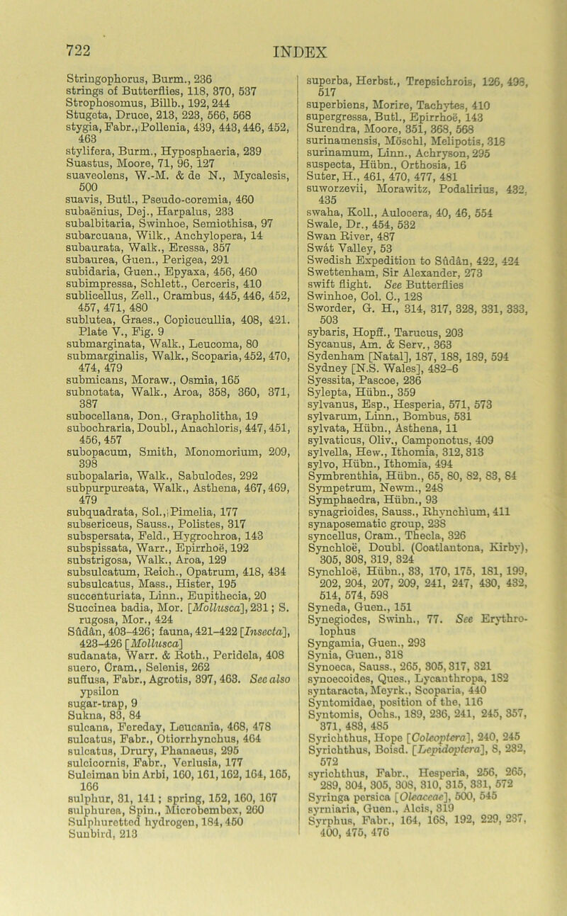 Stringophorus, Burm., 236 strings of Butterflies, 118, 370, 537 Strophosomus, Billb., 192,214 Stugcta, Druce, 213, 223, 566, 568 stygia, Fabr.,iPollenia, 439, 443,446, 452, 463 stylifera, Burm., Hypospbaeria, 239 Suastus, Moore, 71, 96, 127 suaveolens, W.-M. & de N., Mycalesis, 500 suavis, Butl., Pseudo-coremia, 460 subaenius, Dej., Harpalus, 233 subalbitaria, Swinhoe, Semiothisa, 97 subarcuana, Wilk., Anchylopera, 14 subaurata, Walk., Eressa, 357 subaurea, Guen., Perigea, 291 subidaria, Guen., Epyaxa, 456, 460 subimpressa, Schlett., Oerceris, 410 sublicellus, Zell., Crambus, 445, 446, 452, 457, 471, 480 sublutea, Graes., Copicucullia, 408, 421. Plate V., Pig. 9 submarginata, Walk., Leucoma, 80 submarginalis, Walk., Scoparia, 452, 470, 474, 479 submicans, Moraw., Osmia, 165 subnotata, Walk., Aroa, 358, 360, 371, 387 subocellana, Don., Grapkolitha, 19 subochraria, Doubl., Anachloris, 447,451, 456, 457 subopaeum, Smith, Monomorium, 209, 398 subopalaria, Walk., Sabulodes, 292 subpurpureata, Walk., Astkena, 467,469, 479 subquadrata, Sol.,tPimelia, 177 subsericeus, Sauss., Polistes, 317 subspersata, Peld., Hygrockroa, 143 subspissata, Warr., Epirrhoe, 192 substrigosa, Walk., Aroa, 129 subsulcatum, Reich., Opatrum, 418, 434 subsulcatus, Mass., Hister, 195 succenturiata, Linn., Eupitkecia, 20 Succinea badia, Mor. \Mollusca], 231; S. rugosa, Mor., 424 Sfld&n, 403-426; fauna, 421-422 [Insecta], 423-426 [Mollusca] sudanata, Warr. & Roth., Peridela, 408 suero, Cram., Selenis, 262 suffusa, Fabr., Agrotis, 397, 463. Sec also ypsilon sugar-trap, 9 Sukna, 83, 84 sulcana, Fereday, Leucania, 468, 478 sulcatus, Fabr., Otiorrkynckus, 464 sulcatus, Drury, Pkanaeus, 295 sulcicornis, Fabr., Verlusia, 177 Suleiman bin Arbi, 160,161,162,164,165, 166 sulphur, 31, 141; spring, 152,160, 167 sulpkurea, Spin., Microbembex, 260 Sulphuretted hydrogen, 184,450 Sunbird, 213 superba, Herbst., Trepsichrois, 126, 498, 517 superbiens, Morire, Tachytes, 410 supergressa, Butl., Epirrhoe, 143 Surendra, Moore, 351, 368, 568 surinamensis, Moschl, Melipotis, 318 surinamum, Linn., Achryson, 295 suspecta, Hiibn., Orthosia, 16 Suter, H., 461, 470, 477, 481 suworzevii, Morawitz, Podalirius, 432, 435 swaha, Kofl., Aulocera, 40, 46, 554 Swale, Dr., 454, 532 Swan River, 487 Swat Valley, 53 Swedish Expedition to Sudan, 422, 424 Swettenham, Sir Alexander, 273 swift flight. See Butterflies Swinhoe, Col. G., 128 Sworder, G. H., 314, 317, 328, 331, 333, 503 sybaris, HopS., Tarucus, 203 Sycanus, Am. & Serv., 363 Sydenham [Natal], 187, 188, 1S9, 594 Sydney [N.S. Wales], 482-6 Syessita, Pascoe, 236 Sylepta, Hiibn., 359 sylvanus, Esp., Hesperia, 571, 573 sylvarum, Linn., Bombus, 531 sylvata, Hiibn., Astkena, 11 sylvaticus, Oliv., Camponotus, 409 sylvella, Hew., Ithomia, 312,313 sylvo, Hiibn., Ithomia, 494 Symbrenthia, Hiibn., 65, 80, 82, 83, 84 Sympetrum, Newm., 248 Symphaedra, Hiibn., 93 synagrioides, Sauss., Rhynchium, 411 synaposematic group, 238 syncellus, Cram., Thecla, 326 Synchloe, Doubl. (Coatlautona, Kirbv), 305, 308, 319, 324 Synchloe, Hiibn., 83, 170, 175, 181, 199, 202, 204, 207, 209, 241, 247, 430, 432, 514, 574, 598 Syneda, Guen., 151 Synegiodes, Swink., 77. See Erythro- lophus Syngamia, Guen., 293 Synia, Guen., 318 Synoeca, Sauss., 265, 305,317, 321 synoecoides, Ques., Lycautkropa, 182 syntaracta, Meyrk., Scoparia, 440 Syntomidae, position of the, 116 Syntomis, Ochs., 189, 236, 241, 245, 357, 371, 483, 485 Syrichthus, Hope [Coleoptera], 240, 245 Syrickthus, Boisd. [Lcpidoptcra], 8, 232, 572 syrichthus, Fabr., Hesperia, 256, 265, 289, 304, 305, 308, 310, 315, 331, 572 Syringa persica [Oleaccae], 500, 545 syrniaria, Guen., Alois, 319 Syrphus, Fabr., 164, 168, 192, 229, 237, 400, 475, 476