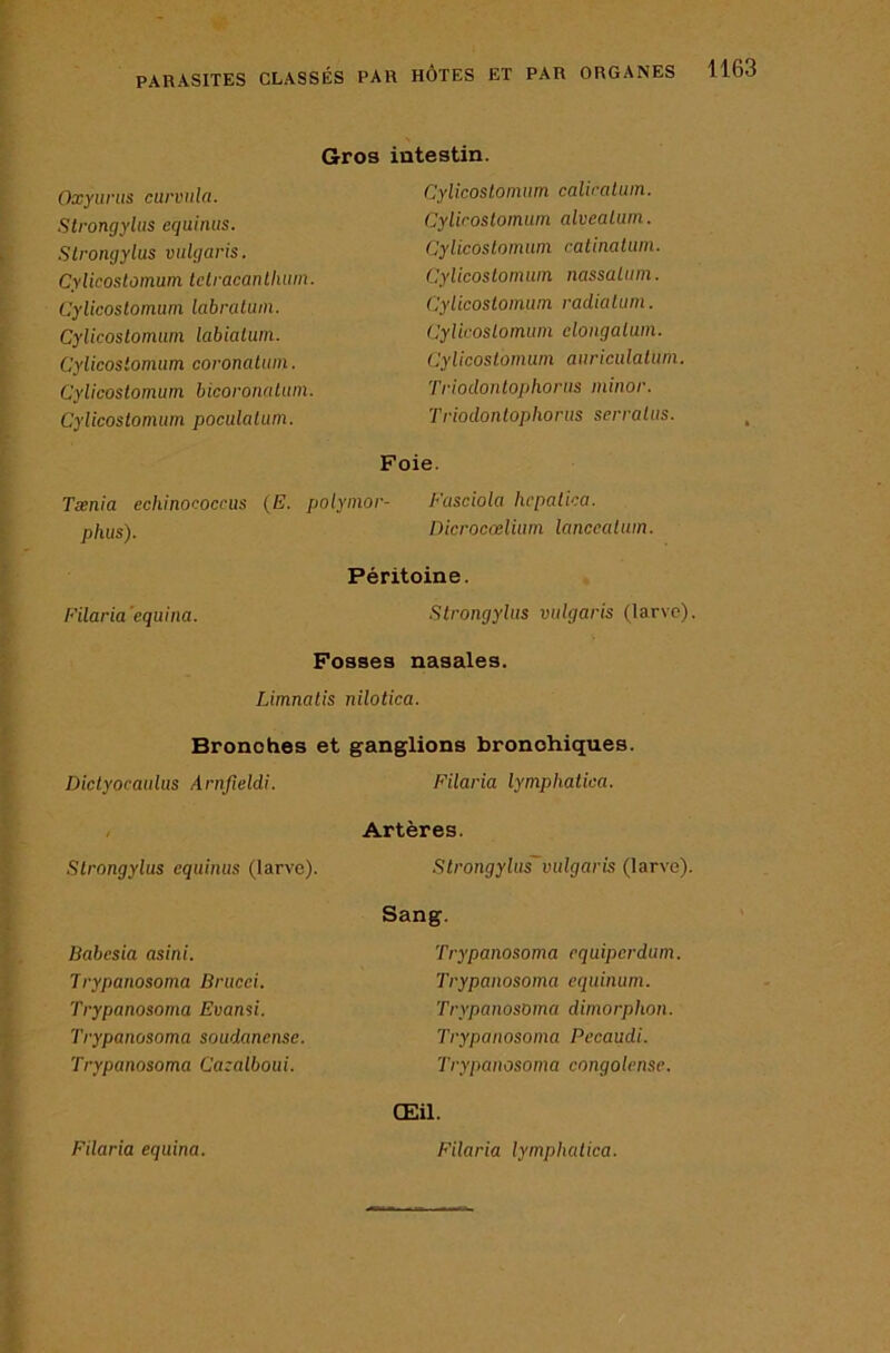 Gros intestin. Oxyiiriis ciirvula. Strongyliis equiiuis. Slrongylus viilgaris. Cylicostomum lelraeanlluiin. Cylicoslomum labratuin. Cylicostomim labialum. Cylicoslomum coromlum. Cylicostomum bicoronalum. Cylicostomum poculatum. Tænia echinococrus {E. polymor- phus). Filaria'equina. Cylicostomum caliraUim. Cylicostomum alveatum. Cylicostomum catinatum. Cylicostomum nassalum. Cylicostomum radia tum. Cylicostomum elongatum. Cylicostomum aiiriculatum. Triodontophorus minor. Triodontophorus serratus. Foie. Fasciola hcpatka. Dicrocœlium lanceatum. Péritoine. Strongylus vidgaris (larve). Fosses nasales. Limnatis nilotica. Bronohes et ganglions bronohiques. Dictyocaulus Arnfieldi. Filaria lymphatica. , Artères. Strongylus equinus (larve). Strongylus vulgaris (larve). Babcsia asini. Trypanosoma Brucei. Trypanosoma Evansi. Trypanosoma soudancnsc. Trypanosoma Cazalboui. Sang. Trypanosoma cquipcrdum. Trypanosoma equinum. Trypanosoma dimorphon. Trypanosoma Pecaudi. Trypanosoma congolense. Filaria equina. Œil. Filaria lymphatica.