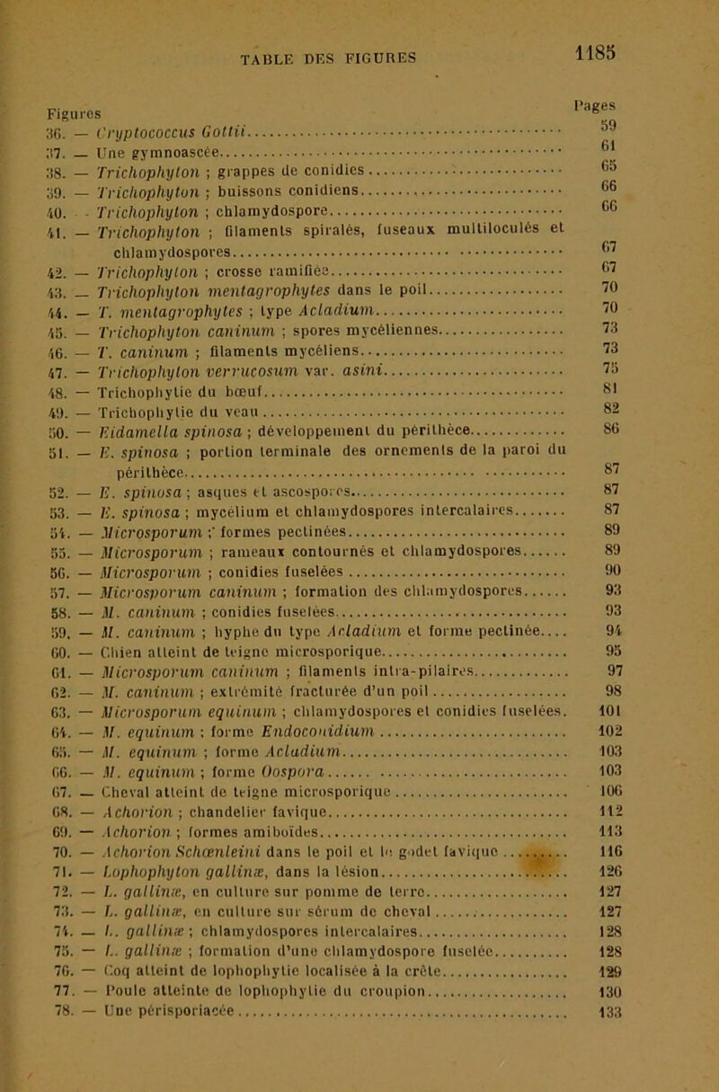 Figures 3G. — Cnjptococcus Gotlii ;i7. — Une ;{8. — Trichophylon ; grappes de conidics o9. — Trichophylon ; buissons conidiens iü. - Trichophylon ; chlaraydospore 41. — Trichophylon ; filamenls spiralés, fuseaux mulliloculés et chlamydospores 42. — Trichophylon ; crosse lamifiéa 43. — Trichophylon menlagrophyles dans le poil 44. — T. menlagrophyles ; type Acladium 43. — Trichophylon caninum ; spores mycéliennes 46. — T. caninum ; filaments mycéliens 47. — Trichophylon verrucosum var. asini 48. — Tricliophylie du bœuf 40. — Tricliophylie du veau 30. — FAdameUa spinosa ; développement du périthèce 51. — K. spinosa ; portion terminale des ornements de la paroi du périthèce 52. — B. spinosa-, asques et ascospores 33. — B. spinosa-, mycélium et chlamydospores intercalaires 34. — Microsporum formes pectinées 33. — Microsporum ; rameau* contournés et chlamydospores 56. — Microsporum ; conidles fuselées 37. — Microsporum caninum ; formation des clilamydosporos 58. — jV. caninum ; conidies fuselées 39, — M. caninum ; hyphedu type Acladium et forme pectinée— 60. — Cliien atteint de teigne microsporique 61. — Microsporum canimim ; filamenls intra-pilaires 62. — .1/. caninum -, extrémité fracturée d’un poil 63. — Microsporum equinum ; chlamydospores el conidies fuselées. 64. — M. equinum ; forme Endoconidium 63. — .1/. equinum -, forme Acladium 66. — M. equinum ; forme Oospora 67. — Cheval atteint de teigne microsporique 68. — Achorion-, chandelier favique 69. — Achorion -, formes araiboïdes 70. — Achorion fichœnleini dans le poil et h: godet favique 71. — iophophylon gallinæ, dans la lésion .^... 72. — /.. gallinie, en culture sur pomme do terre 73. — L. gallinie, en culture sur sérum do cheval 74. — gallinie; chlamydospores intercalaires 73. — !.. gallinie ; formation d’une chlamydospore fuselée 70. — Coq atteint de lophophytie localisée à la crête 77. — Roule atteinte de lophophytie du croupion 78. — Une périsporiacée Rages 39 61 65 66 66 67 67 70 70 73 73 73 81 82 86 87 87 87 89 89 90 93 93 94 95 97 98 101 102 103 103 106 112 113 116 126 127 127 128 128 126 130 133