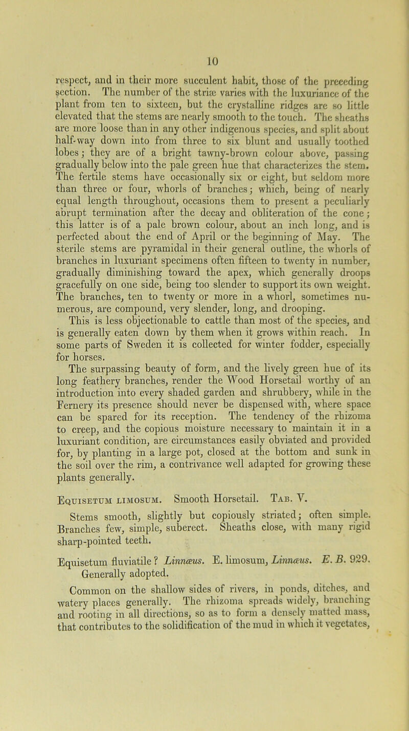 respect, and in their more succulent habit, those of the preceding section. The number of the strife varies with the luxuriance of the plant from ten to sixteen, but the crystalhne ridges are so little elevated that the stems are nearly smooth to the touch. The sheaths are more loose than in any other indigenous species, and split about half-way down into from three to six blunt and usually toothed lobes; they are of a bright tawny-brown colour above, passing gradually below into the pale green hue that characterizes the stem. The fertile stems have occasionally six or eight, but seldom more than three or four, whorls of branches; which, being of nearly equal length throughout, occasions them to present a peculiarly abrupt termination after the decay and obliteration of the cone; this latter is of a pale brown colour, about an inch long, and is perfected about the end of April or the beginning of ]\Iay. The sterile stems are pyramidal in their general outline, the whorls of branches in luxuriant specimens often fifteen to twenty in number, gradually diminishing toward the apex, which generally droops gracefully on one side, being too slender to support its own weight. The branches, ten to twenty or more in a whorl, sometimes nu- merous, are compound, very slender, long, and drooping. This is less objectionable to cattle than most of the species, and is generally eaten down by them when it grows within reach. In some parts of Sweden it is collected for winter fodder, especially for horses. The surpassing beauty of form, and the lively green hue of its long feathery branches, render the Wood Horsetail worthy of an introduction into every shaded garden and shrubbeiy, while in the Fernery its presence should never be dispensed with, where space can be spared for its reception. The tendency of the rhizoma to creep, and the copious moistm’e necessary to maintam it in a luxuriant condition, are circumstances easily obnated and provided for, by planting in a large pot, closed at the bottom and sunk in the soil over the rim, a contrivance well adapted for growing these plants generally. Eqtjisetum limosum. Smooth Horsetail. Tab. V. Stems smooth, slightly but copiously striated; often simple. Branches few, simple, suberect. Sheaths close, with many rigid shaiq)-pointed teeth. Equisetum fluviatile ? Linnaus. E. limosum, Lmnaus. E. B. 929. Generally adopted. Common on the shallow sides of rivers, in ponds, ditches, and watery places generally. The rhizoma spreads widely, branching and rooting in all directions, so as to form a densely matted mass, that contributes to the solidification of the mud in which it vegetates.