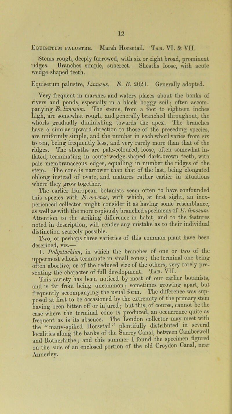 Equisetum palustre. Marsh Horsetail. Tab. VI. & VII. Stems rough, deeply furrowed, with six or eight broad, prominent ridges. Branches simple, suberect. Sheaths loose, with acute wedge-shaped teeth. Equisetum palustre, Linnams. E. B. 2021. Generally adopted. Very frequent in marshes and watery places about the banks of rivers and ponds, especially in a black boggy soil; often accom- panying E. limosum. The stems, from a foot to eighteen inches high, are somewhat rough, and generally branched throughout, the whorls gradually diminishing towards the apex. The branches have a similar upward direction to those of the preceding species, are uniformly simple, and the number in each whorl varies from six to ten, being frequently less, and vei-y rarely more than that of the ridges. The sheaths are pale-coloured, loose, often somewhat in- flated, terminating in acute’wedge-shaped dark-brown teeth, with pale membranaceous edges, equalling in number the ridges of the stem. The cone is narrower than that of the last, being elongated oblong instead of ovate, and matures rather earlier in situations where they grow together. The earlier European botanists seem often to have confounded this species with E. arvense, with which, at first sight, an inex- perienced collector might consider it as having some resemblance, as well as with the more copiously branched specimens of E. limosum. Attention to the striking difference in habit, and to the features noted in description, will render any mistake as to their individual distinction scarcely possible. Two, or perhaps three varieties of this common plant have been described, viz.— 1. Polystachion, in which the branches of one or two of the uppermost whorls terminate in small cones; the terminal one being often abortive, or of the reduced size of the others, very rarely pre- senting the character of full development. Tab. VII. This variety has been noticed by most of our earlier botanists, and is far from being uncommon; sometimes growing apart, but frequently accompanying the usual form. The difierence was sup- posed at first to be occasioned by the extremity of the primary stem having been bitten off or injured; but this, of course, cannot be the case where the terminal cone is produced, an occurrence quite as frequent as is its absence. The London collector may meet with the “many-spiked HorsetaiP^ plentifully distributed in several localities along the banks of the Surrey Canal, between Camberuell and Rotherhithe; and this summer I found the specimen figured on the side of an enclosed portion of the old Croydon Canal, near Annerley.