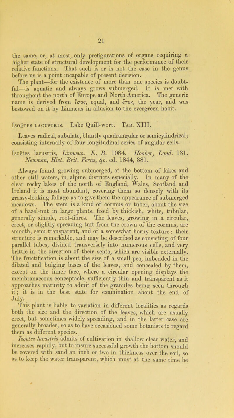 the same, or, at most, only prefigurations of organs requiring a higher state of structural development for the performance of their relative functions. That such is or is not the case in the genus before us is a point incapable of present decision. The plant—for the existence of more than one species is doubt- ful—is aquatic and always grows submerged. It is met with throughout the north of Europe and North America. The generic name is derived from I'cro?, equal, and eVo?, the year, and was bestowed on it by Linnseus in allusion to the evergreen habit. Isoetes lactjstbis. Lake Quill-wort. Tab. XIII. Leaves radical, subulate, bluntly quadrangular or semicylindrical; consisting internally of fom’ longitudinal series of angular cells. Isoetes lacustris, Linrueus. E, B. 1084. Hooker, Bond. 131. Newman, Hist. Brit. Ferns, ^c. ed. 1844, 381. Always found growing submerged, at the bottom of lakes and other still waters, in alpine districts especially. In many of the clear rocky lakes of the north of England, Wales, Scotland and Ireland it is most abundant, covering them so densely with its grassy-looking foliage as to give them the appearance of submerged meadows. The stem is a kind of cormus or tuber, about the size of a hazel-nut in large plants, fixed by thickish, white, tubular, generally simple, root-fibres. The leaves, growing in a circular, erect, or slightly spreading tuft from the crown of the cormus, are smooth, semi-transparent, and of a somewhat horny texture: their structure is remarkable, and may be described as consisting of four parallel tubes, divided transversely into numerous cells, and very brittle in the direction of their septa, which are visible externally. The fructification is about the size of a small pea, imbedded in the dilated and bulging bases of the leaves, and concealed by them, except on the inner face, where a circular opening displays the membranaceous conceptacle, sufficiently thin and transparent as it approaches matmity to admit of the granules being seen through it; it is in the best state for examination about the end of J uly. This plant is liable to variation in different localities as regards both the size and the direction of the leaves, which ai'e usually erect, but sometimes widely spreading, and in the latter case are generally broader, so as to have occasioned some botanists to regard them as different species. Isoetes lacustris admits of cultivation in shallow clear water, and increases rapidly, but to insure successful growth the bottom should be covered with sand an inch or two in thickness over the soil, so as to keep the water transparent, which must at the same time be