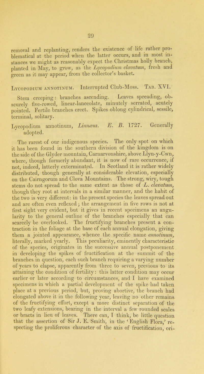 removal and replanting, renders the existence of life rather pro- blematical at the period when the latter occurs, and in most in- stances we might as reasonably expect the Christmas holly branch, planted in i\Iay, to gi’ow, as the Lycopodium clavatum, fresh and green as it may appear, from the collector’s basket. Lycopodium annotinum. Interrupted Club-Moss. Tab. XVI. Stem creeping; branches ascending. Leaves spreading, ob- scurely five-rowed, linear-lanceolate, minutely serrated, acutely pointed. Fertile branches erect. Spikes oblong cylindrical, sessile, terminal, solitary. Lycopodium annotinum, Linnaus. E. B. 1727. Generally adopted. The rarest of our indigenous species. The only spot on which it has been found in the southern division of the kingdom is on the side of the Glyder mountain, Carnarvonshire, above Llyn-y-Cwn, where, though formerly abundant, it is now of rare occurrence, if not, indeed, latterly exterminated. In Scotland it is rather widely distributed, though generally at considerable elevation, especially on the Caimgorum and Clova Mountains. The strong, wiry, tough stems do not spread to the same extent as those of L. clavatum, though they root at intervals in a similar manner, and the habit of the two is very different; in the present species the leaves spread out and are often even reflexed; the arrangement in five rows is not at first sight very evident, but it gives in recent specimens an angu- larity to the general outline of the branches especially that can scarcely be ovei’looked. The fructifying branches present a con- traction in the foliage at the base of each annual elongation, giving them a jointed appearance, whence the specific name annotinum, literally, marked yearly. This peculiarity, eminently characteristic of the species, originates in the successive annual postponement in developing the spikes of fructification at the summit of the branches in question, each such branch requiring a varying number of years to elapse, apparently from three to seven, previous to its attaining the condition of fertility; this latter condition may occur earlier or later according to circumstances, and I have examined specimens in which a partial development of the spike had taken place at a previous period, but, proving abortive, the branch had elongated above it in the following year, leaving no other remains of the fructifying effort, except a more distinct separation of the two leafy extensions, bearing in the interval a few rounded scales or bracts in lieu of leaves. There can, I think, be little question that the assertion of Sir J. E. Smith, in the ‘English Flora,’ re- specting the proliferous character of the axis of fructification, ori-