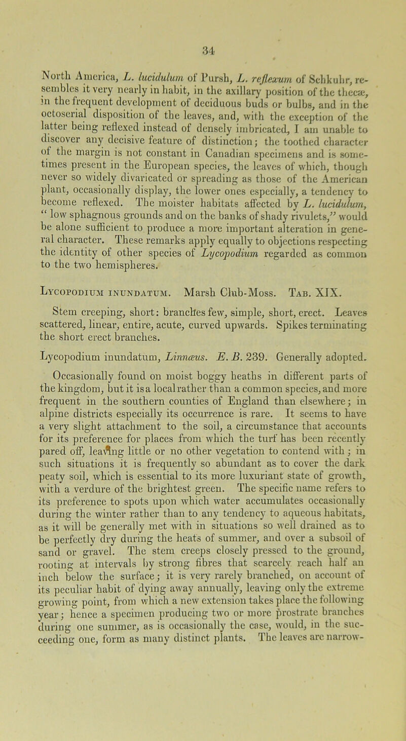 North America, L. lucidulurn of Pursh, L. rejlexum of Schkulir, re- sembles it very nearly in habit, in the axillary position of the theca;, in the frequent development of deciduous buds or bulbs, and in the octoserial disposition of the leaves, and, with the excejition of the hitter being reflexed instead of densely imbricated, I am unable to discover any decisive feature of distinction; the toothed character of the margin is not constant in Canadian specimens and is some- times present in the European species, the leaves of which, though never so ividely divaricated or spreading as those of the American plant, occasionally display, the lower ones especially, a tendency to become refiexed. The moister habitats affected by L. lucidulurn, “ low sphagnous grounds and on the banks of shady rivulets,^^ would be alone sufficient to produce a more important alteration in gene- ral character. These remarks apply equally to objections respecting the identity of other species of Lycopodium regarded as common to the two hemispheres. Lycopodium IxVundatum. Marsh Club-Moss. Tab. XIX. Stem creeping, short: branches few, simple, short, erect. Leaves scattered, linear, entire, acute, curved upwards. Spikes terminating the short erect branches. Lycopodium inundatum, Linnaus. E. B. 239. Generally adopted. Occasionally found on moist boggy heaths in different parts of the kingdom, but it is a local rather than a common species, and more frequent in the southern counties of England than elsewhere; in alpine districts especially its occurrence is rare. It seems to have a very slight attachment to the soil, a circumstance that accounts for its preference for places from which the turf' has been recently pared off, leai^ng little or no other vegetation to contend with; in such situations it is frequently so abundant as to cover the dark peaty soil, which is essential to its more luxuriant state of growth, with a verdure of the brightest green. The specific name refers to its preference to spots upon which water accumulates occasionally during the winter rather than to any tendency to aqueous habitats, as it will be generally met with in situations so well drained as to be perfectly dry during the heats of summer, and over a subsoil of sand or gravel. The stem creeps closely pressed to the ground, rooting at intervals l)y strong fibres that scarcely reach half an inch below the surface; it is very rarely branched, on account of its peculiar habit of dying away annually, leaving only the extreme growing point, from which a new extension takes place the following year; hence a specimen producing two or more prostrate branches during one summer, as is occasionally the case, would, in the suc- ceeding one, form as many distinct plants. The leaves arc narrow-