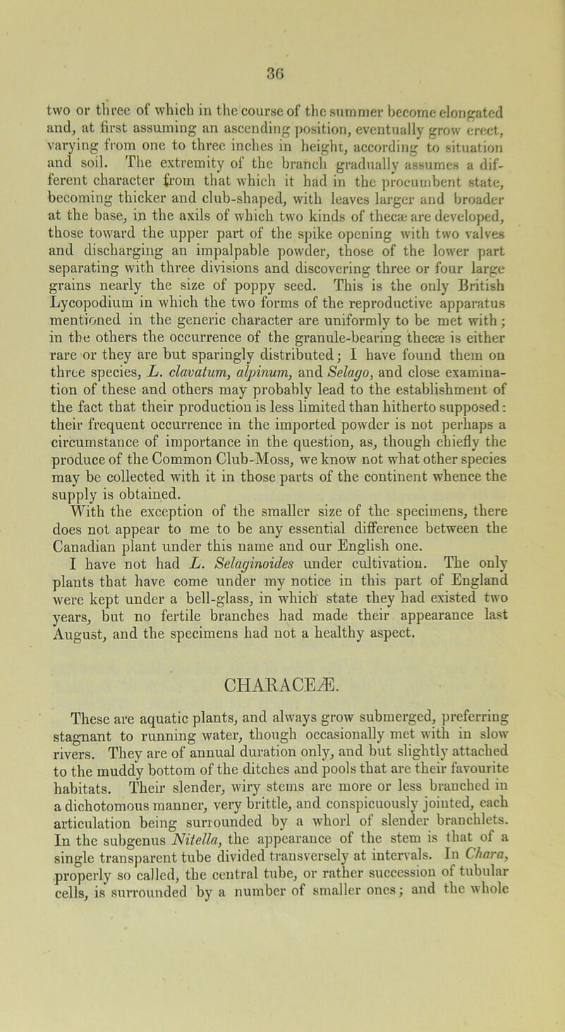 30 two or three of which in the course of the summer become elongated and, at first assuming an ascending ])osition, eventually grow erect, varying from one to three inches in height, according to situation and soil. The extremity of the branch gradually assumes a dif- ferent character from that which it had in the procumbent state, becoming thicker and club-shaped, with leaves larger and broader at the base, in the axils of which two kinds of thecai are developed, those toward the upper part of the spike opening with tsvo valves and discharging an impalpable powder, those of the lower part separating with three divisions and discovering three or four large grains nearly the size of poppy seed. This is the only British Lycopodium in which the two forms of the reproductive apparatus mentioned in the generic character are uniformly to be met with; in the others the occurrence of the granule-bearing thee* is either rare or they are but sparingly distributed; I have found them on three species, L. clavatum, alpinum, and Selago, and close examina- tion of these and others may probably lead to the establishment of the fact that their production is less limited than hitherto supposed: their frequent occurrence in the imported powder is not perhaps a circumstance of importance in the question, as, though chiefly the produce of the Common Club-Moss, we know not what other species may be collected with it in those parts of the continent whence the supply is obtained. With the exception of the smaller size of the specimens, there does not appear to me to be any essential difference between the Canadian plant under this name and our English one. I have not had L. Selaginoides under cultivation. The only plants that have come under my notice in this part of England were kept under a bell-glass, in which state they had existed two years, but no fertile branches had made their appearance last August, and the specimens had not a healthy aspect. CHARACE^. These are aquatic plants, and always grow submerged, preferring stagnant to running water, though occasionally met with in slow rivers. They are of annual duration only, and but slightly attached to the muddy bottom of the ditches and pools that are their favourite habitats. Their slender, wiry stems are more or less branched in a dichotomous manner, very brittle, and conspicuously jointed, each articulation being surrounded by a whorl of slender branchlets. In the subgenus Nitella, the appearance of the stem is that of a single transparent tube divided transversely at inten'als. In Chara, properly so called, the central tube, or rather succession of tubular cells, is surrounded by a number of smaller ones; and the whole