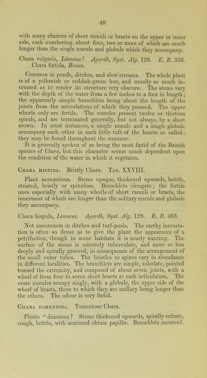 •18 with iiiany clusters of short ramuli or bracts on the upper or inner side, each numbering about four, two or more of which are much longer than the single nucule and globule which they accompany. Chara vulgaris, Linnaus’i Agardh, Syst. Alg. 128. E. B. 336. Chara feetida, Braun. Common in ponds, ditches, and slow streams. The whole plant is of a yellowish or reddish-green hue, and usually so much in- crusted as to render its structure very obseure. The stems vary with the depth of the water from a few inches to a foot in length; the apparently simple branchlets being about the length of the joints from the artieulations of which they proceed. The upper whorls only are fertile. The nucules present twelve or thirteen spirals, and are terminated generally, but not always, by a short crown. In most instances, a single nucule and a single globule accompany each other in each little tuft of the bracts so called : they may be found throughout the summer. It is generally spoken of as being the most foetid of the British species of Chara, but this character seems much dependent upon the condition of the water in which it vegetates. Chaka hispida. Bristly Chara. Tab. XXVIII. Plant monoecious. Stems opaque, thickened upwards, brittle, striated, bristly or spinulose. Branchlets elongate; the fertile ones especially with many whorls of short ramuli or bracts, the innermost of which are longer than the solitary nucule and globule they accompany. Chara hispida, Linneeus. Agardh, Syst. Alg. 128. E. B. 463. Not uncommon in ditches and turf-pools. The earthy incrusta- tion is often so dense as to give the plant the appearance of a petrifaction, though in some habitats it is nearly wanting. The surface of the stems is minutely tuberculate, and more or less deeply and spirally grooved, in consequence of the arrangement of the small outer tubes. The bristles or spines vary in abundance in different localities. The branchlets are simple, subulate, pointed toward the extremity, and composed of about seven joints, with a whorl of from four to seven short bracts at each articulation. The ovate nucules occupy singly, with a globule, the upper side of the whorl of bracts, those to which theyvare axillary being longer than the others. The odour is very foetid. Chaka tomentosa. Tomentose Chara. Plants “ dioecious ? Stems thickened upwards, spirally sulcate, rough, bi’ittle, with scattered obtuse papillce. Branchlets incuned.