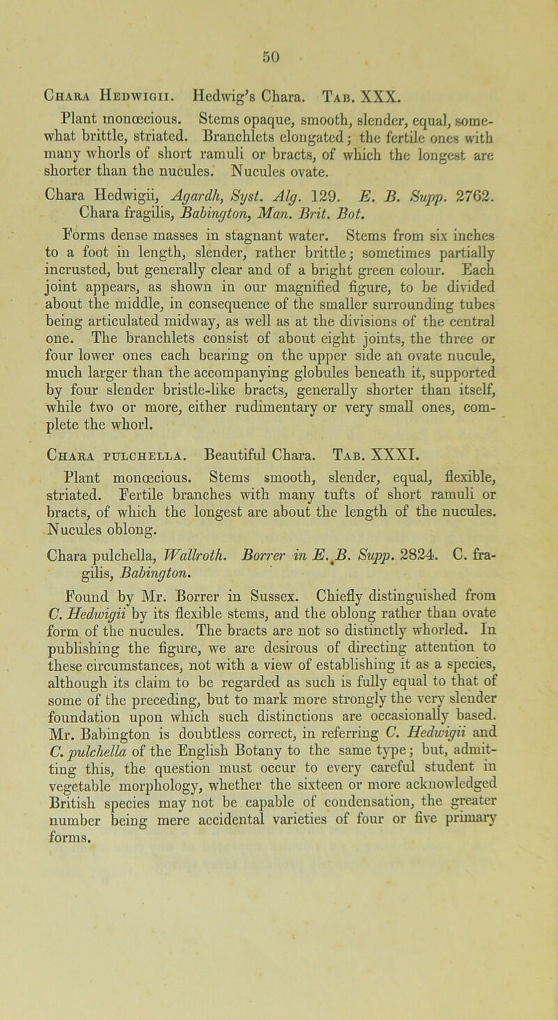 Chara Hedwigii. Hedwig’s Chara. Tab. XXX. Plant monoecious. Stems opaque, smooth, slender, equal, some- what brittle, striated. Branchlets elongated j the fertile ones with many whorls of short ramuli or bracts, of which the longest are shorter than the nucules. Nucules ovate. Chara Hedwigii, Agardh, Syst. Alg. 129. E, B. Supp. 2762. Chara fragilis, Babington, Man. Brit. Bot. Forms dense masses in stagnant water. Stems from six inches to a foot in length, slender, rather brittle; sometimes partially incrusted, but generally clear and of a bright green colour. Each joint appears, as shown in our magnified figure, to be divided about the middle, in consequence of the smaller surrounding tubes being articulated midway, as well as at the divisions of the central one. The branchlets consist of about eight joints, the three or four lower ones each bearing on the upper side an ovate nucule, much larger than the accompanying globules beneath it, supported by four slender bristle-like bracts, generally shorter than itself, while two or more, either rudimentary or very small ones, com- plete the whorl. Chara ptjlchella. Beautiful Chara. Tab. XXXI. Plant monoecious. Stems smooth, slender, equal, flexible, striated. Fertile branches with many tufts of short ramuli or bracts, of which the longest are about the length of the nucules. Nucules oblong. Chara pulchella, Wallroth. Borrer in E.^B. Supp. 2824. C. fra- gilis, Babington. Found by Mr. Borrer in Sussex. Chiefly distinguished from C. Hedwigii by its flexible stems, and the oblong rather than ovate form of the nucules. The bracts are not so distinctly whorled. In publishing the figure, we are desirous of directing attention to these cii’cumstances, not with a view of establishing it as a species, although its claim to be regarded as such is fully equal to that of some of the preceding, but to mark more strongly the very slender foundation upon which such distinctions are occasionally based. Mr. Babington is doubtless correct, in referring C. Hedwigii and C. pulchella of the English Botany to the same tjq)e; but, admit- ting this, the question must occur to every careful student in vegetable morphology, whether the sixteen or more acknowledged British species may not be capable of condensation, the greater number being mere accidental vai’ieties of four or five primary forms.