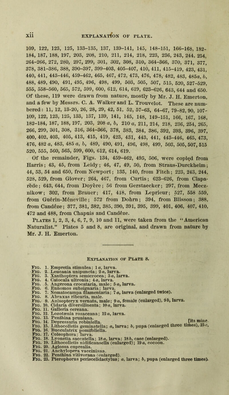 Xll EXPLANATION OF PLATE. 109, 122, 123, 125, 133-135, 137, 139-141, 145, 148-151, 166-168, 182- 184, 187, 188, 197, 203, 208, 210, 211, 214, 218, 223, 236, 243, 244. 254, 264-266, 272, 280, 297, 299, 301, 302, 308, 310, 364-366, 370, 371, 377, 378, 381-386, 388, 390-397, 399-403, 405-407, 410, 411, 415-419, 423, 431, 440, 441, 443-446, 459-462, 465, 467, 472, 473, 476, 478,' 482, 483, 485a, 488, 489, 490, 491, 495, 496, 498, 499, 503, 505, 507, 515, 520, 527-529, 555, 558-560, 565, 572, 599, 600, 612, 614, 619, 623-626, 643, 644 and 650. Of these, 119 were drawn from nature, mostly by Mr. J. H. Emerton, and a few by Messrs. C. A. Walker and E. Trouvelot. These are num- bered: 11, 12, 13-20, 26, 28, 29, 42, 51, 52, 57-63, 64-67, 79-82, 90, 107- 109, 122, 123, 125, 133, 137, 139, 141, 145, 148, 149-151, 166, 167, 168, 182-184, 187, 188, 197, 203, 208 a, 6, 210 a, 211, 214, 218, 236, 254, 265, 266, 299, 301, 308, 316, 364-366, 378, 383, 384, 386, 392, 393, 396, 397, 400, 402, 403, 405, 413, 415, 419, 423, 431, 443, 441, 443-446, 465, 473, 476, 482 a, 483, 485 a, 6, 489, 490, 491, 496, 498, 499, 503, 505, 507, 615 520, 555, 560, 565, 599, 600, 612, 614, 619. Of the remainder. Figs. 134, 459-462, 495, 506, were copied from Harris; 43, 45, from Leidy; 46, 47, 49, 50, from Straus-Durckheim; 44, 53, 54 and 650, from Newport; 135, 140, from Fitch; 223, 243, 244, 528, 529, from Glover; 264, 467, from Curtis; 623-626, from Clapa- rede; 643, 644, from Doyere; 56 from Gerstaecker; 297, from Mecz- nikow; 302, from Brauer; 417, 418, from Leprieur; 527, 558 559, from Gu^rin-M^neville; 572 from Dohrn; 394, from Blisson; 388, from Candeze; 377, 381, 382, 385, 390, 391, 395, 399, 401, 406, 407, 410, 472 and 488, from Chapuis and Candeze. Plates 1, 2, 3, 4, 6, 7, 9, 10 and 11, were taken from the “American Naturalist.” Plates 5 and 8, are original, and drawn from nature by Mr. J. H. Emerton. Explanation of Plate 8. Fig. 1. Empretia stimulea; la, larva. Fig. 2. Leucania unipuncta; 2 a, larva. Fig. 3. Xanthoptera semicrocea; 3 a, larva. Fig. 4. Catocala ultronia; 4 a, larva. Fig. 5. Angerona crocataria, male; 5 a, larva. Fig. 6. Ennomos subsignaria; larva. Fig. 7. Nematocampa filamentaria; 7 a, larva (enlarged twice). Fig. 8. Abraxas ribearia, male. Fig. 9. Anisopte^x vemata, male; 9a, female (enlarged), 96, larva. Fig. 10. Cidaria diversilineata; 10 a, larva. Fig. 11. Galleria cereana. Fig. 12. Lozotaenia rosaceana; 12 a, larva. Fig. 13. Penthina pruniana. ... Fig. 14. Depressaria robiniella. , i.- Fig. 15. Lithocolletis geminatella; a, larva; 6, pupa (enlarged three times), 15c, Fig. 16. Bucculatrix pomifoliella. Fig. 17. Coleophora; larva. Fig. 18. Lyonetia saccatella; 18a, larva; 186, case (enlarged). Fig. 19. Lithocolletis nidificansella (enlarged); 19a, cocoon. Fig. 20. Aglossa cuprealis. Fig. 21. Anchyloppira vaccini.aiia. Fig. 22. Penthina vitivorana fenlarged). Fig. 23. Pterophorus periscelidactylus; a, larva; 6, pupa (enlarged three times).