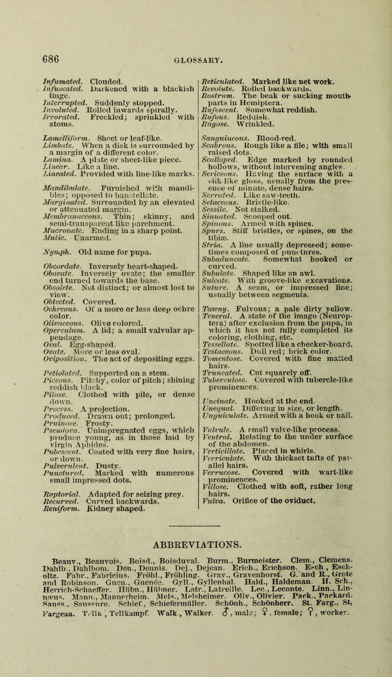 Infumated. Clouded. lufuscated. Darkened with a blackiah tinge. Interrupted. Suddenly stopped. Involuted. Rolled inwards spirally. Irrorated. Freckled; spriukled wdth atoms. Lamelliform. Sheet or leaf-like. Limbate. When a disk is surrounded by a margin of a different color. Lamina. A plate or sheet-like piece. Linear. Like a line. Lineated. Provided with line like marks. Mandihulate. Furnished with mandi- bles; opposed to hanctellate. Marcjinated. Surrounded by an elevated or attenuated margin. Memhranaceoxis. Thin; skinny, and semi-transparent like jjarchment. Mucronate. Ending in a sharp point. Mutic. Unarmed. Nyuoph. Old name for pupa. Obcordate. Inversely heart-shaped. Obovate. Inversely ovate; the smaller end turned towards the base. Obsolete. Not distinct; or almost lost to viewl Obtected. Covered. Ochreous. Of a more or less deep ochre color. Olivaceous. Olive colored. Operctilum. A lid; a small valvular ap- pendage. Oval. Egg-shaped. Ovate. Store or less oval. Oviposition. The act of depositing eggs. Petiolated. Supported on a stem. Piceotis. Pitchy, color of pitch; shining reddish black. Pilose. Clothed Avith pile, or dense down. I^rocess. A projection. Produced.. DraAvn out; prolonged. Pruinose. Frosty. Pseud ora. Unimpregnated eggs, which produce young, as in those laid by virgin Aphides. Pubescent. Coated with very fine hairs, or doAvn. Pulverident. Dusty. Punctured. Marked with numerous small impressed dots. Raptorial. Adapted for seizing prey. Recurved. Curved backwards. Reniform. Kidney shaped. Reticulated. Marked like net work. Revolute. Rolled backwards. Rostrum. The beak or sucking mouth- parts in Hemiptera. Rufescent. Somewhat reddish. Rufous. Redaish. Rugose. Wrinkled. Sanguineous. Blood-red. Scabrous. Rough like a file; with small raised dots. Scalloped. Edge marked by rounded hollow^s, without intervening angles. Sericeous. Having the surface with a siik like gloss, usually from the pres- ence ol’ minute, dense haii’S. Serrated. Like saw-teeth. Setaceoxis. Bristle-like. Sessile. Not stalked. Sinuated. Scooped out. Spinous. Armed Avith spines. Spurs. Stiff bristles, or spines, on the tibiae. Stria. Aline usually depressed; some- times composed of iium tures. Subadiincate. SomeAvhat hooked or curved. Subtdate. Shaped like an awd. Sidcate. With groove-like excavations. Sidure. A seam, or impressed line; usually between segments. Taiomj. Fulvous; a pale dirty yellow. Teneral. A state of the imago'(Neurop- tera) after exclusion from the pupa, in Avhich it has not fully completed its coloring, clothing, etc. Tessellate. Si)otted like a checker-board. Testaceous. Dull red; brick color. Tomentose. Covered Avith fine malted hairs. Truncated. Cut squarely off. Tuberculose. Covered Avith tubercle-like prominences. Uncinate. Hooked at the end. Unequal. Difleriug in size, or length. Ungidculate. Armed Avith a hook or nail. Valvtde. A small valve-like process. Ventral. Relating to the under surface of the abdomen. Verticillate. Placed in whirls. Verriculate. With thickset tufts of par- allel hairs. Verrucose. Covered with Avart-like prominences. Villose. Clothed with soft, rather long Vulva. Orifice of the oviduct. ABBREVIATIONS. Beauv., Beauvois. Boisd., Boisduval. Burm., Burmeister. Clem., Clemens. Dahlb., Dahlbom. Den., Dennis. Dej., Dejean. Erich., Erichson. Esch., Esch- oltz. Fabr., Fabricius. Frohl., Frohling. Grav., Gravenhorst. G.'and R., Grote and Robinson. Guen., Guenee. Gyll., Gyllenhal. Hald., Haldeman. H. Sch., Hevrich-Schaeffer. Hiibn., Hiibner. Latr., Latreille. Lee., Leconte. Linn., Lin- naeus. Mann., Mannerheim. Mels., IMelsheimer. Oliv., Olivier. Pack., Packard. Sauss., Sanssnre. Schief, Schiefermiiller. Schonh., Schdnherr. St. Farg., St, Fargqau. T.llk , Tcllkampf. Walk , Walker. (^,male; ?, female; ? , w’orker.