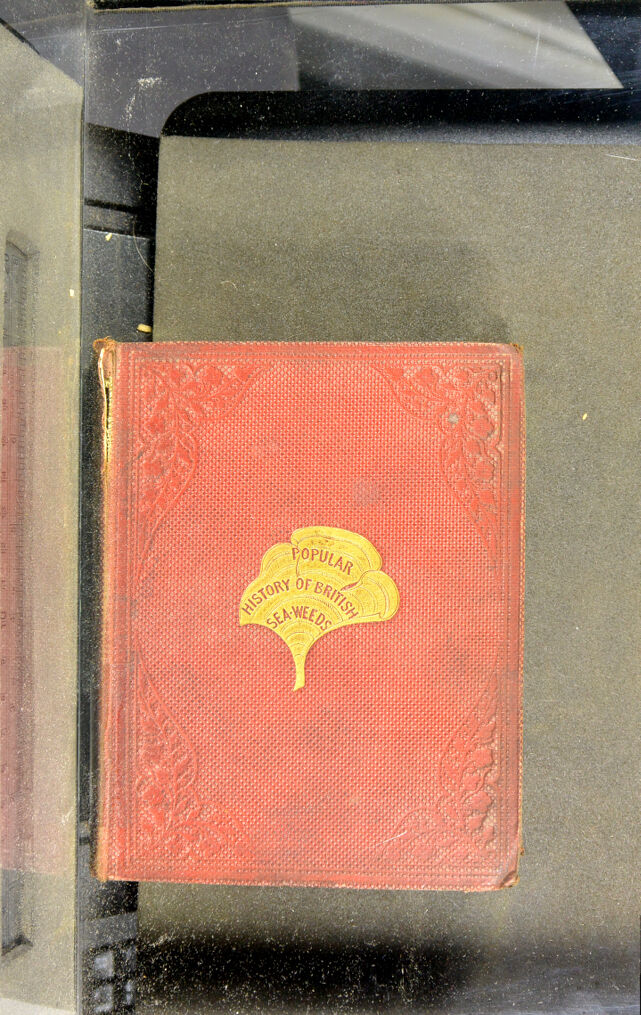 No text description is available for this image