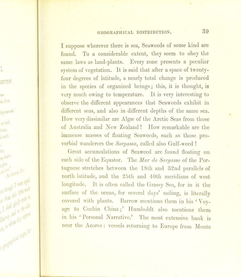 I suppose wherever there is sea. Seaweeds of some kind are found. To a considerable extent, they seem to obey the same laws as land-plants. Every zone presents a peculiar system of vegetation. It is said that after a space of twenty- four degrees of latitude, a nearly total change is produced in the species of organized beings; this, it is thought, is very much owing to temperature. It is very interesting to observe the different appearances that Seaweeds exhibit in different seas, and also in different depths of the same sea. How very dissimilar are Algae of the Arctic Seas from those of Australia and New Zealand! How remarkable are the immense masses of floating Seaweeds, such as those pro- verbial wanderers the Sargassa, called also Gulf-weed ! Great accumulations of Seaweed are found floating on each side of the Equator. The Mar do Sargasso of the Por- tuguese stretches between the 18th and 32nd parallels of north latitude, and the 25th and 40th meridians of west longitude. It is often called the Grassy Sea, for in it the surface of the ocean, for several days’ sailing, is literally covered with plants. Barrow mentions them in his ‘ Yoy- age to Cochin China;’ Humboldt also mentions them in his ‘ Personal Narrative.’ The most extensive bank is near the Azores : vessels returning to Europe from Monte