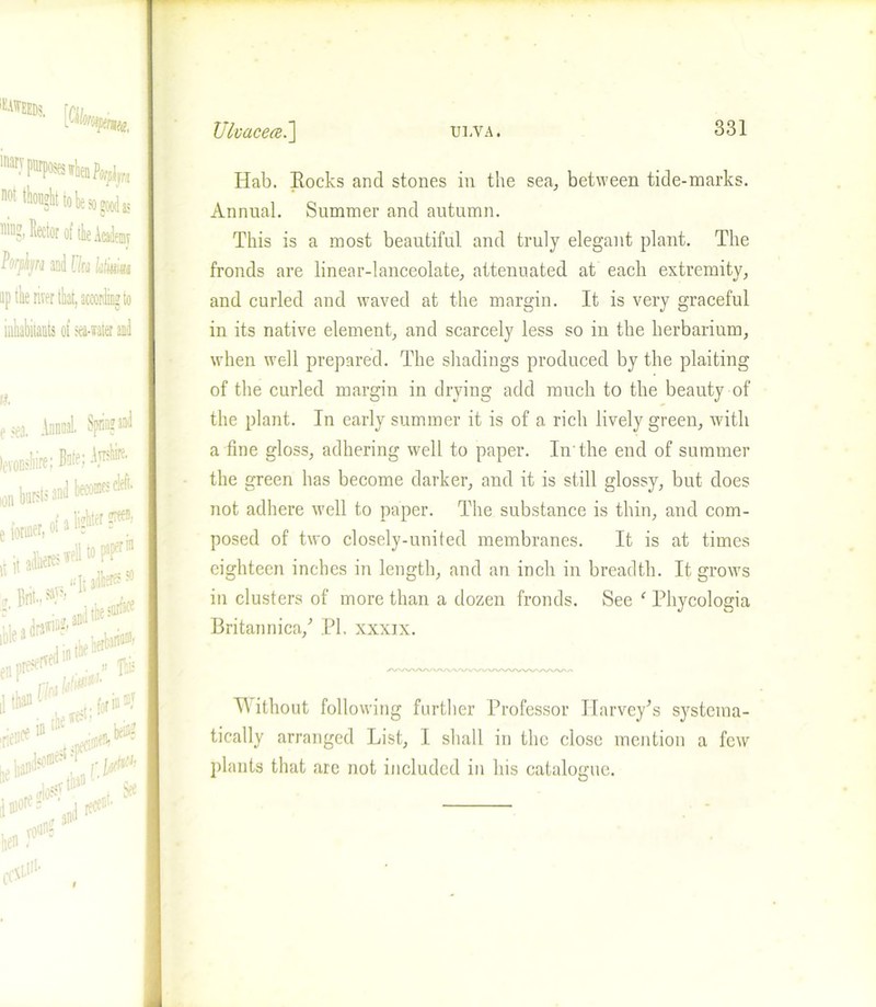 TWEEDS, r ftL ■ niug, Eector of the Academy hflm and [fa ti'mm up the river that, according to iuhabitants ot eea-iaier and e Sea. Innnal. Spring and levonshire; Bate; 1* s cleft. bur* srrecn. e former, ofa»& it adheres'd *° . r #5 adhere » a;«tiie a” * il^1 form®? 1111 e Juen,^ Hab. Bocks and stones in the sea, between tide-marks. Annual. Summer and autumn. This is a most beautiful and truly elegant plant. The fronds are linear-lanceolate, attenuated at each extremity, and curled and waved at the margin. It is very graceful in its native element, and scarcely less so in the herbarium, when well prepared. The shadings produced by the plaiting of the curled margin in drying add much to the beauty of the plant. In early summer it is of a rich lively green, with a fine gloss, adhering well to paper. In'the end of summer the green has become darker, and it is still glossy, but does not adhere well to paper. The substance is thin, and com- posed of two closely-united membranes. It is at times eighteen inches in length, and an inch in breadth. It grows in clusters of more than a dozen fronds. See ‘ Phycologia Britannica/ PI, xxxix. W ithout following further Professor Harvey’s systema- tically arranged List, 1 shall in the close mention a few plants that are not included in his catalogue.