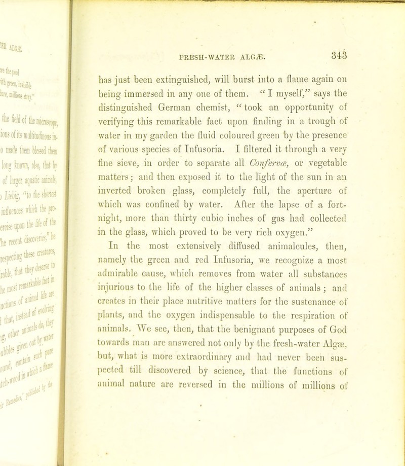 has just been extinguished, will burst into a flame again on being immersed in any one of them. “ I myself,” says the distinguished German chemist, “ took an opportunity of verifying this remarkable fact upon finding in a trough of water in my garden the fluid coloured green by the presence of various species of Infusoria. I filtered it through a very fine sieve, in order to separate all Conferva, or vegetable matters; and then exposed it to the light of the sun in an inverted broken glass, completely full, the aperture of which was confined by water. After the lapse of a fort- night, more than thirty cubic inches of gas had collected in the glass, which proved to be very rich oxygen.” In the most extensively diffused animalcules, then, namely the green and red Infusoria, we recognize a most admirable cause, which removes from water all substances injurious to the life of the higher classes of animals; and creates in their place nutritive matters for the sustenance of plants, and the oxygen indispensable to the respiration of animals. We see, then, that the benignant purposes of God towards man are answered not only by the fresh-water Algae, but, what is more extraordinary and had never been sus- pected till discovered by science, that the functions of animal nature are reversed in the millions of millions of