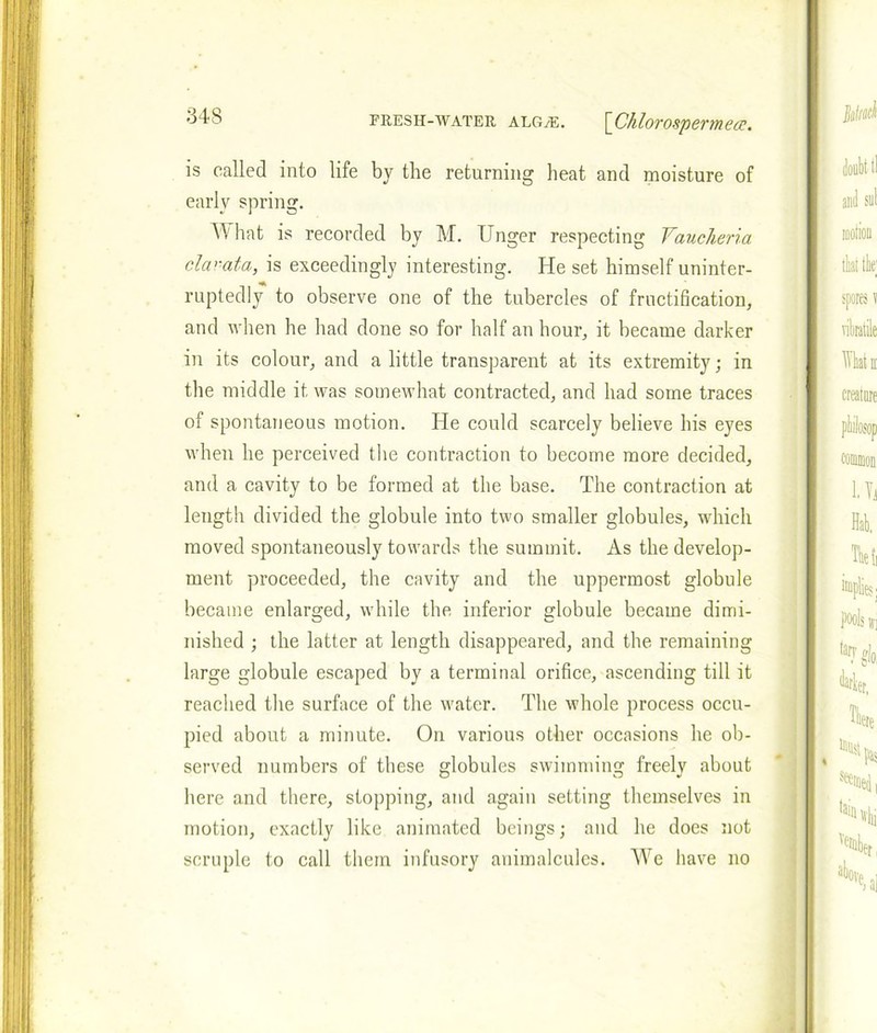is called into life by the returning heat and moisture of early spring. What is recorded by M. Unger respecting Yaucheria clavata, is exceedingly interesting. He set himself uninter- ruptedly to observe one of the tubercles of fructification, and when he had done so for half an hour, it became darker in its colour, and a little transparent at its extremity; in the middle it was somewhat contracted, and had some traces of spontaneous motion. He could scarcely believe his eyes when he perceived the contraction to become more decided, and a cavity to be formed at the base. The contraction at length divided the globule into two smaller globules, which moved spontaneously towards the summit. As the develop- ment proceeded, the cavity and the uppermost globule became enlarged, while the inferior globule became dimi- nished ; the latter at length disappeared, and the remaining large globule escaped by a terminal orifice, ascending till it reached the surface of the water. The whole process occu- pied about a minute. On various other occasions he ob- served numbers of these globules swimming freely about here and there, stopping, and again setting themselves in motion, exactly like animated beings; and he does not scruple to call them infusory animalcules. We have no