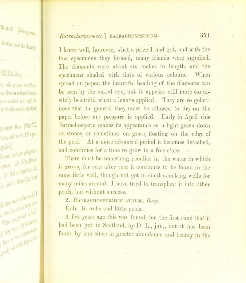 Balrachospemea.] batrachospermum. 1* AlGi, aments mi,% iteii with gelatine, monilifonn. ‘nse filaments scattered through- ■v are attached by a amie ala- of two Greek words, signi^ing [LIfOI5IS,%- ou the left agnized.) Mr B*DeTon' common. »1 - .. * ft.*’0' jr. keddft u - as any I effete33 ^ 0f water little ffln J •'! When1 on» 3,“\ atoa‘|,D broa= UoJ^ try[V 41 theyffere' >«* » tO 3 f Mill. 1 knew well, however, what a prize I had got, and with the fine specimens they formed, many friends were supplied. The filaments were about six inches in length, and the specimens shaded with tints of various colours. When spread on paper, the beautiful beading of the filaments can be seen by the naked eye, but it appears still more excjui- sitely beautiful when a lens “is applied. They are so gelati- nous that in general they must be allowed to dry on the paper before any pressure is applied. Early in April this Batrachosperm makes its appearance as a light green down on stones, or sometimes on grass, floating on the edge of the pool. At a more advanced period it becomes detached, and continues for a time to grow in a free state. There must be something peculiar in the water in which it grows, for year after year it continues to be found in the same little well, though not got in similar-looking wells for- mally miles around. I have tried to transplant it into other pools, but without success. 2. Batrachospermum atrum, Bory. Hab. In wells and little pools. A few years ago this was found, for the first time that it had been got in Scotland, by J). L., jun., but it has been found by him since in greater abundauce and beauty in the