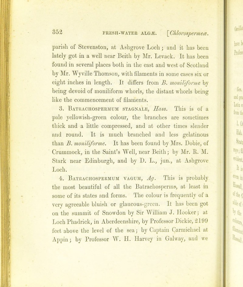 parish of Stevenston, at Ashgrove Loch ; and it has been lately got in a well near Beith by Mr. Levack. It has been found in several places both in the east and west of Scotland by Mr. Wyville Thomson, with filaments in some cases six or eight inches in length. It differs from B. monilforme by being devoid of moniliform whorls, the distant whorls being like the commencement of filaments. 3. Batrachospermum stagnale, Hass. This is of a pale yellowish-green colour, the branches are sometimes thick and a little compressed, and at other times slender and round. It is much branched and less gelatinous than B. moniliforme. It has been found by Mrs. Dobie, of Crummock, in the Saint’s Well, near Beith; by Mr. B. M. Stark near Edinburgh, and by D. L., jun., at Ashgrove Loch. 4. Batrachospermum vagum, Ag. This is probably the most beautiful of all the Batrachosperms, at least in some of its states and forms. The colour is frequently of a very agreeable bluish or glaucous-green. It has been got on the summit of Snowdon by Sir William J. Hooker; at Loch Phadrick, in Aberdeenshire, by Professor Dickie, 2199 feet above the level of the sea; by Captain Carmichael at Appin; by Professor W. H. Harvey in Galway, and we