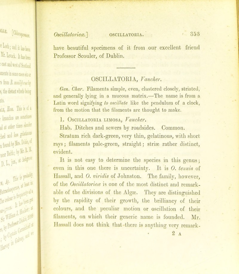 have beautiful specimens of it from our excellent friend Professor Scouler, of Dublin. OSCILLATOR1A, Vaucher. Gen. Char. Filaments simple, even, clustered closely, striated, and generally lying; in a mucous matrix.—The name is from a Latin word signifying to oscillate like the pendulum of a clock, from the motion that the filaments are thought to make. 1. Oscillatoria limosa, Vaucher. Hab. Ditches and sewers by roadsides. Common. Stratum rich dark-green, very thin, gelatinous, with short rays; filaments pale-green, straight; striae rather distinct, evident. It is not easy to determine the species in this genus; even in this one there is uncertainty. It is 0. tenuis of Hassall, and 0. viridis of Johnston. The family, however, of the Oscillatoriece is one of the most distinct and remark- able of the divisions of the Algae. They are distinguished by the rapidity of their growth, the brilliancy of their colours, and the peculiar motion or oscillation of their filaments, on which their generic name is founded. Mr. Hassall does not think that-there is anything very remark- 2 A