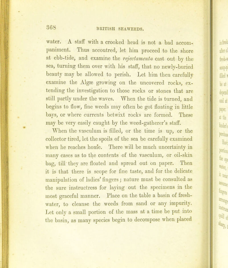water. A staff with a crooked head is not a bad accom- paniment. Thus accoutred, let him proceed to the shore at ebb-tide, and examine the rejectamenta cast out by the sea, turning them over with his staff, that no newly-buried beauty may be allowed to perish. Let him then carefully examine the Algae growing on the uncovered rocks, ex- tending the investigation to those rocks or stones that are still partly under the waves. When the tide is turned, and begins to flow, fine weeds may often be got floating in little bays, or where currents betwixt rocks are formed. These may be very easily caught by the weed-gatherer’s staff. When the vasculum is filled, or the time is up, or the collector tired, let the spoils of the sea be carefully examined when he reaches home. There will be much uncertainty in many cases as to the contents of the vasculum, or oil-skin bag, till they are floated and spread out on paper. Then it is that there is scope for fine taste, and for the delicate manipulation of ladies’ fingers ; nature must be consulted as the sure instructress for laying out the specimens in the most graceful manner. Place on the table a basin of fresh- water, to cleanse the weeds from sand or any impurity. Let only a small portion of the mass at a time be put into the basin, as many species begin to decompose when placed