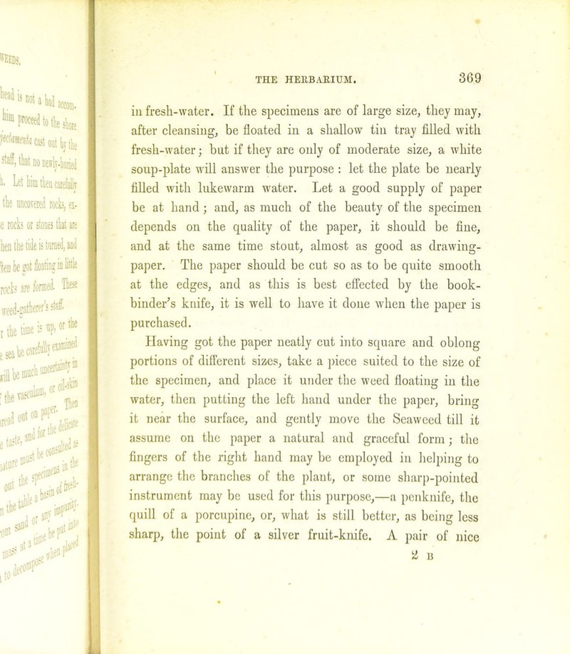 in fresh-water. If the specimens are of large size, they may, after cleansing, be floated in a shallow tin tray filled with fresh-water; but if they are only of moderate size, a white soup-plate will answer the purpose : let the plate be nearly filled witli lukewarm water. Let a good supply of paper be at hand; and, as much of the beauty of the specimen depends on the quality of the paper, it should be fine, and at the same time stout, almost as good as drawing- paper. The paper should be cut so as to be quite smooth at the edges, and as this is best effected by the book- binder’s knife, it is well to have it done when the paper is purchased. Having got the paper neatly cut into square and oblong- portions of different sizes, take a piece suited to the size of the specimen, and place it under the weed floating in the water, then putting the left hand under the paper, bring it near the surface, and gently move the Seaweed till it assume on the paper a natural and graceful form; the fingers of the right hand may be employed in helping to arrange the branches of the plant, or some sharp-pointed instrument may be used for this purpose,—a penknife, the quill of a porcupine, or, what is still better, as being less sharp, the point of a silver fruit-knife. A pair of nice