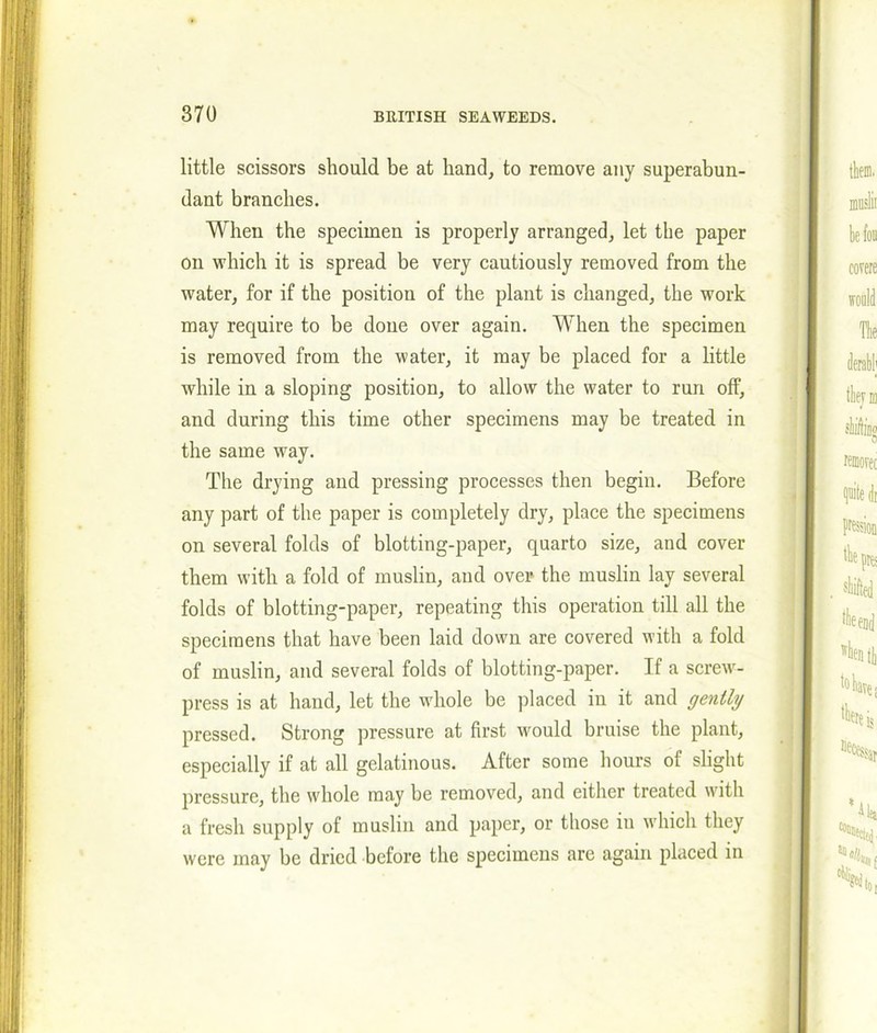 little scissors should be at hand, to remove any superabun- dant branches. When the specimen is properly arranged, let the paper on which it is spread be very cautiously removed from the water, for if the position of the plant is changed, the work may require to be done over again. When the specimen is removed from the water, it may be placed for a little while in a sloping position, to allow the water to run ofF, and during this time other specimens may be treated in the same way. The drying and pressing processes then begin. Before any part of the paper is completely dry, place the specimens on several folds of blotting-paper, quarto size, and cover them with a fold of muslin, and over the muslin lay several folds of blotting-paper, repeating this operation till all the specimens that have been laid down are covered with a fold of muslin, and several folds of blotting-paper. If a screw- press is at hand, let the whole be placed in it and gently pressed. Strong pressure at first would bruise the plant, especially if at all gelatinous. After some hours of slight pressure, the whole may be removed, and either treated with a fresh supply of muslin and paper, or those in which they were may be dried before the specimens are again placed in