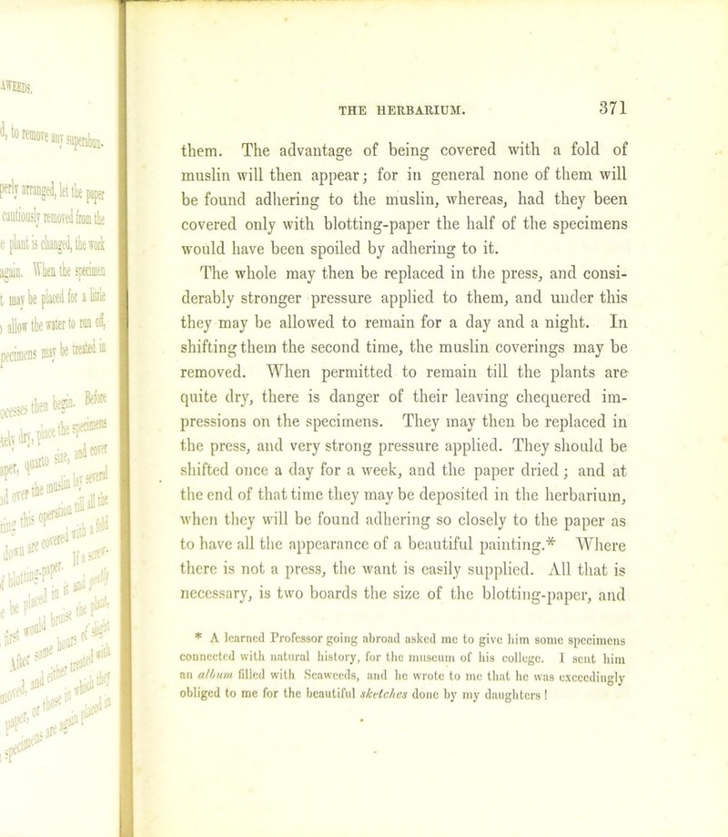 them. The advantage of being covered with a fold of muslin will then appear; for in general none of them will be found adhering to the muslin, whereas, had they been covered only with blotting-paper the half of the specimens would have been spoiled by adhering to it. The whole may then be replaced in the press, and consi- derably stronger pressure applied to them, and under this they may be allowed to remain for a day and a night. In shifting them the second time, the muslin coverings may be removed. When permitted to remain till the plants are quite dry, there is danger of their leaving chequered im- pressions on the specimens. They may then be replaced in the press, and very strong pressure applied. They should be shifted once a day for a week, and the paper dried; and at the end of that time they may be deposited in the herbarium, when they will be found adhering so closely to the paper as to have all the appearance of a beautiful painting.* Where there is not a press, the want is easily supplied. All that is necessary, is two boards the size of the blotting-paper, and * A learned Professor going abroad asked me to give him some specimens connected with natural history, for the museum of his college. I scut him an album filled with Seaweeds, and he wrote to me that he was exceedingly obliged to me for the beautiful sketches done by my daughters !